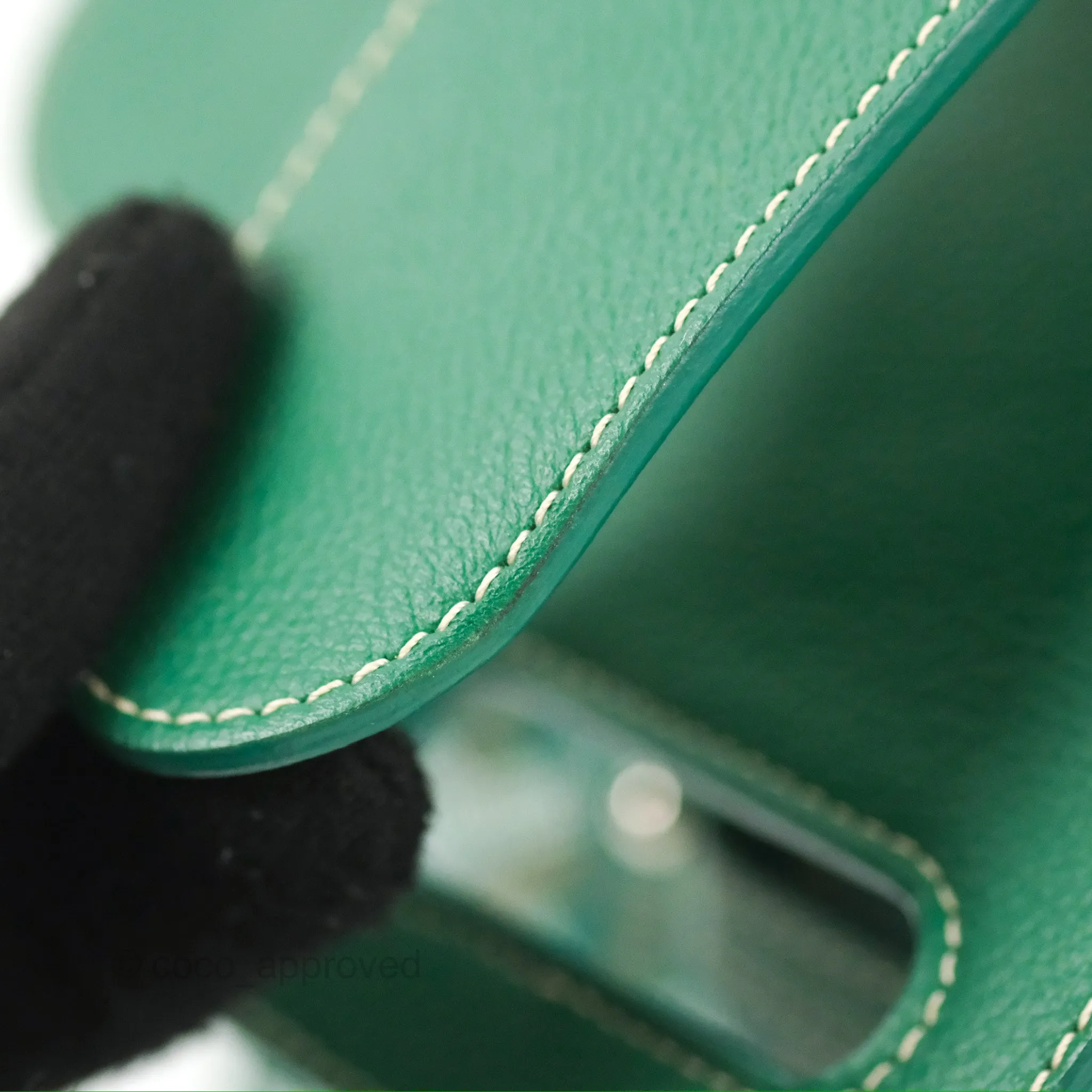 Goyard Sagon Mini Bag Green Goyardine Canvas/Chevroches Calfskin
