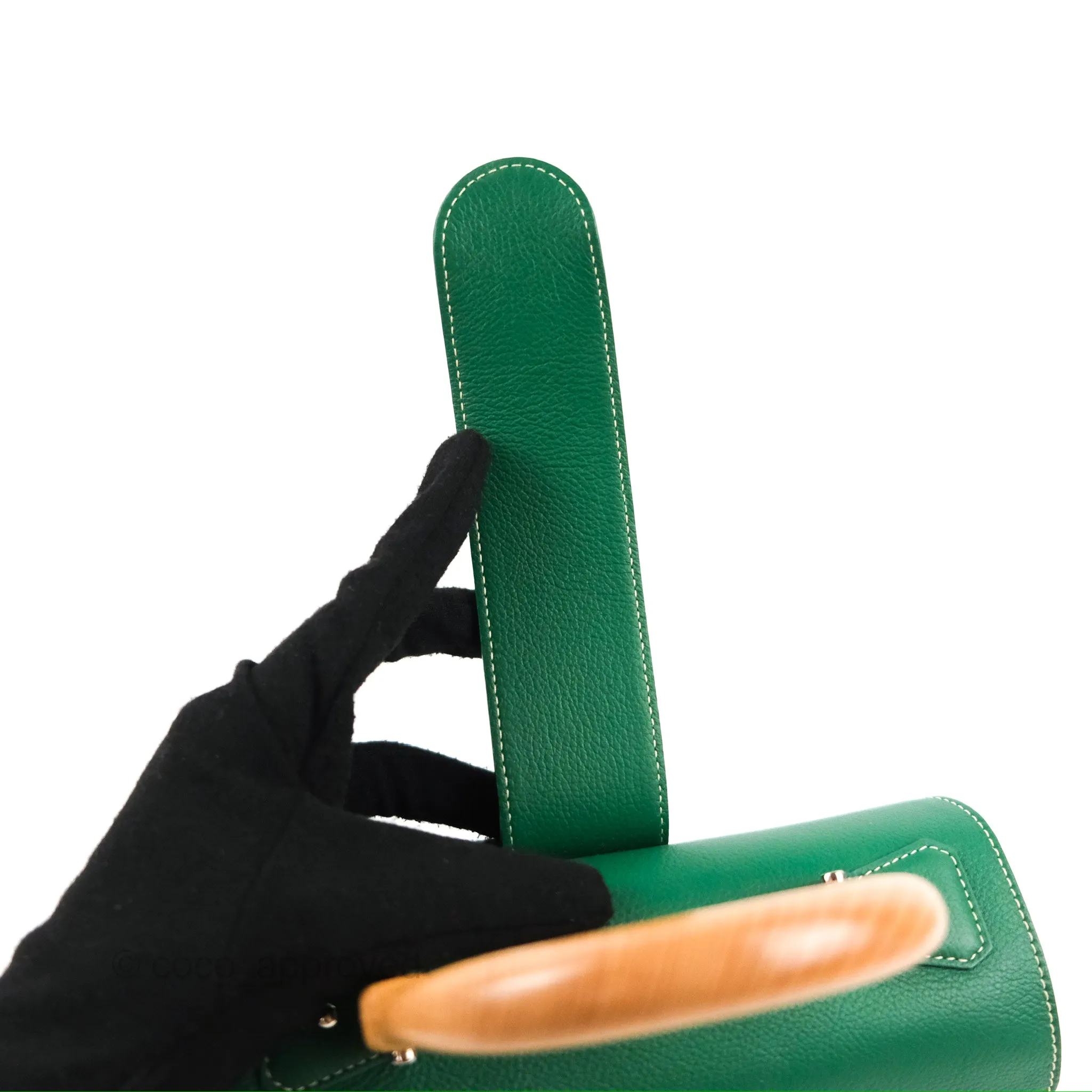Goyard Sagon Mini Bag Green Goyardine Canvas/Chevroches Calfskin