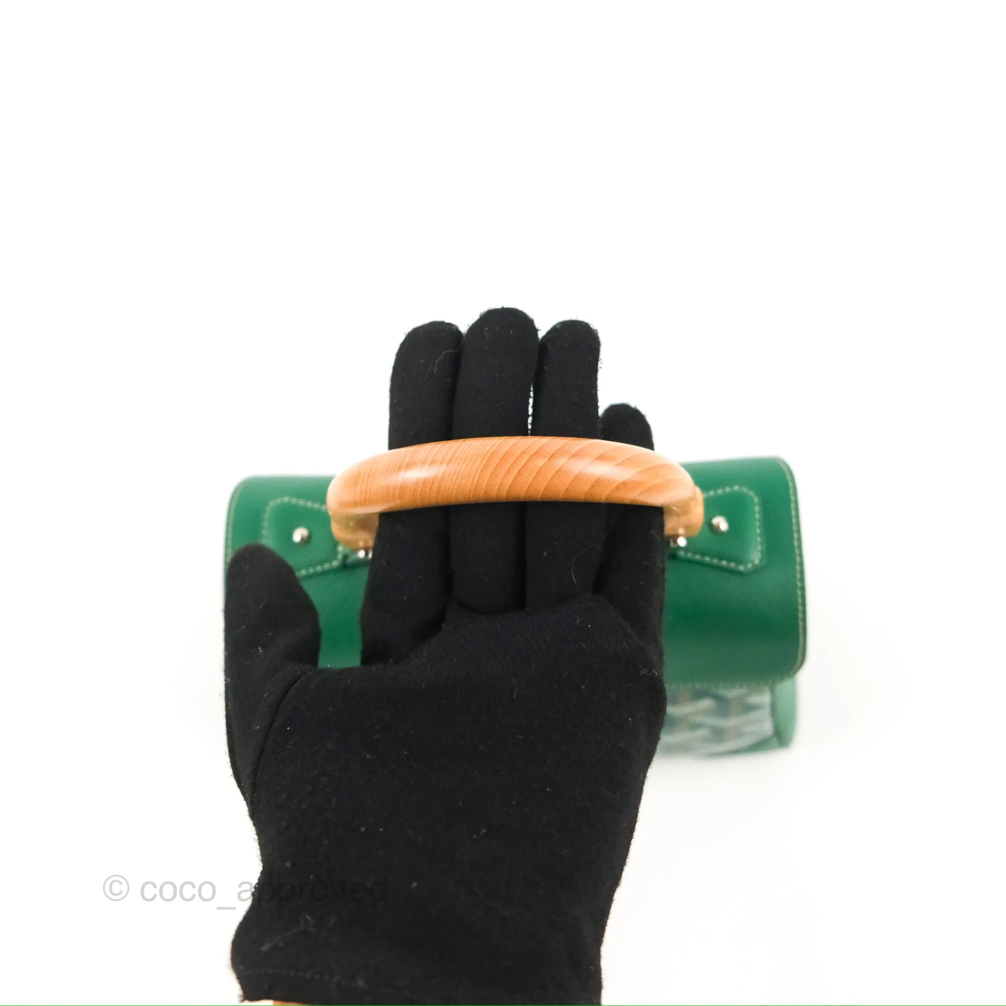 Goyard Sagon Mini Bag Green Goyardine Canvas/Chevroches Calfskin