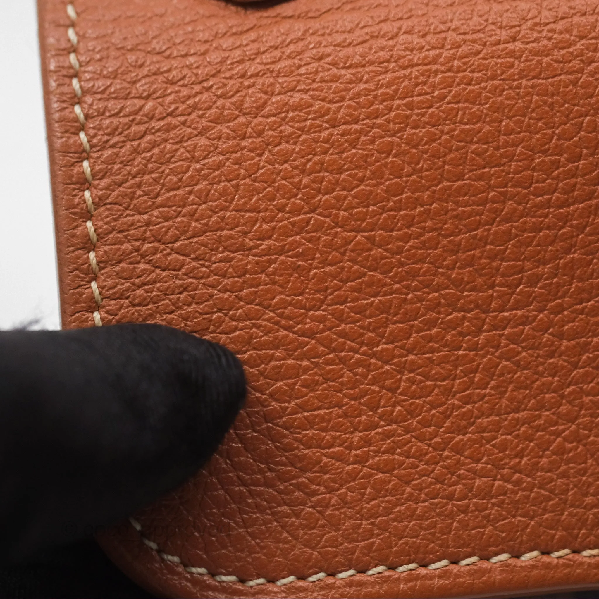 Goyard Sagon Mini Bag Tan Goyardine Canvas/Chevroches Calfskin