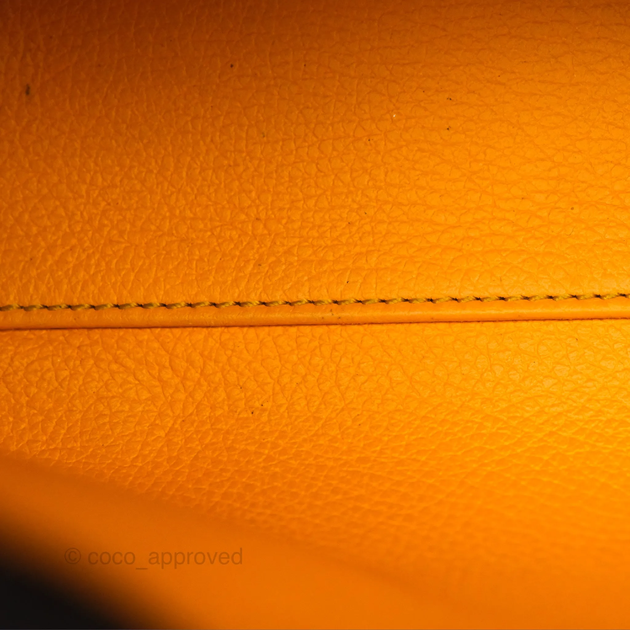 Goyard Sagon Mini Bag Tan Goyardine Canvas/Chevroches Calfskin