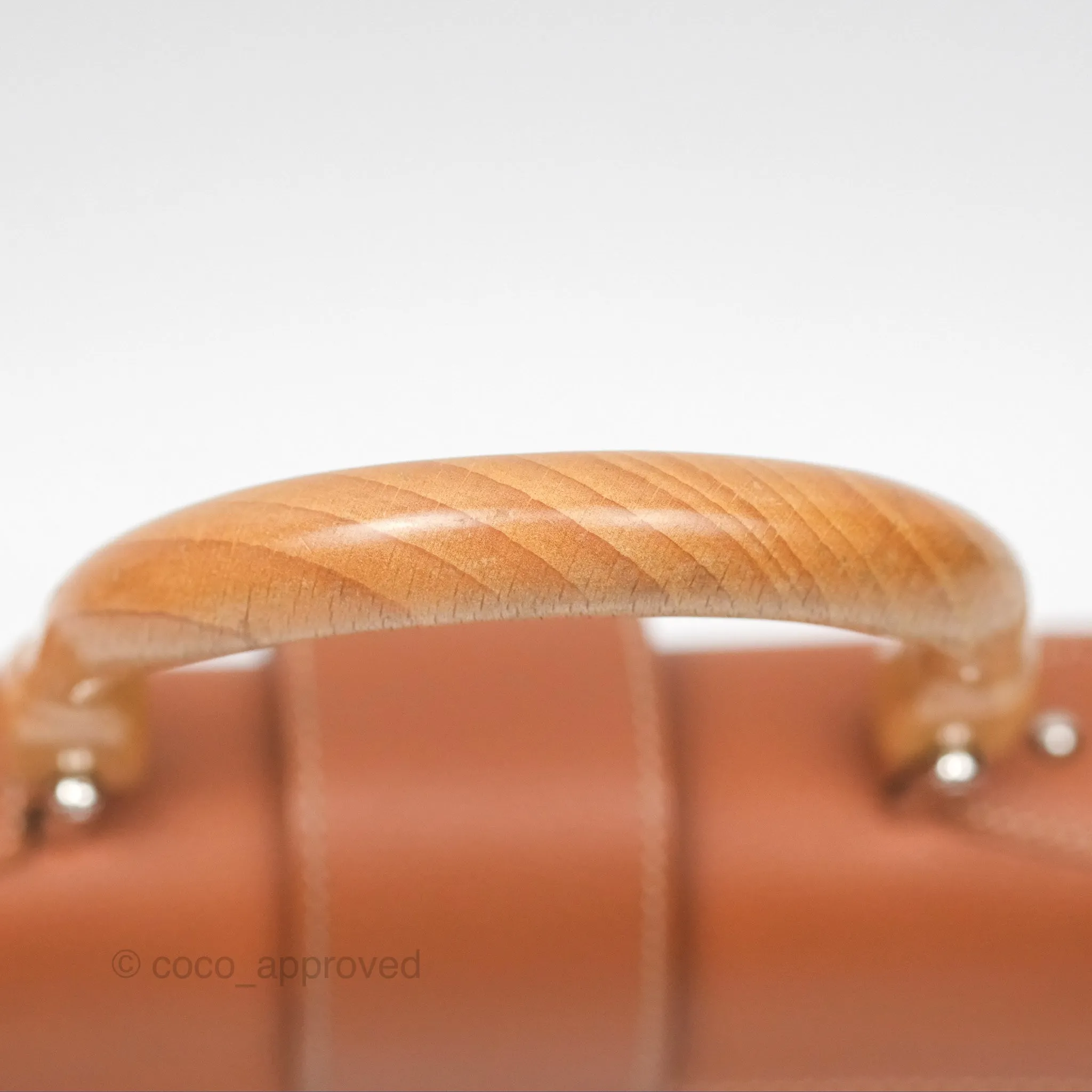 Goyard Sagon Mini Bag Tan Goyardine Canvas/Chevroches Calfskin
