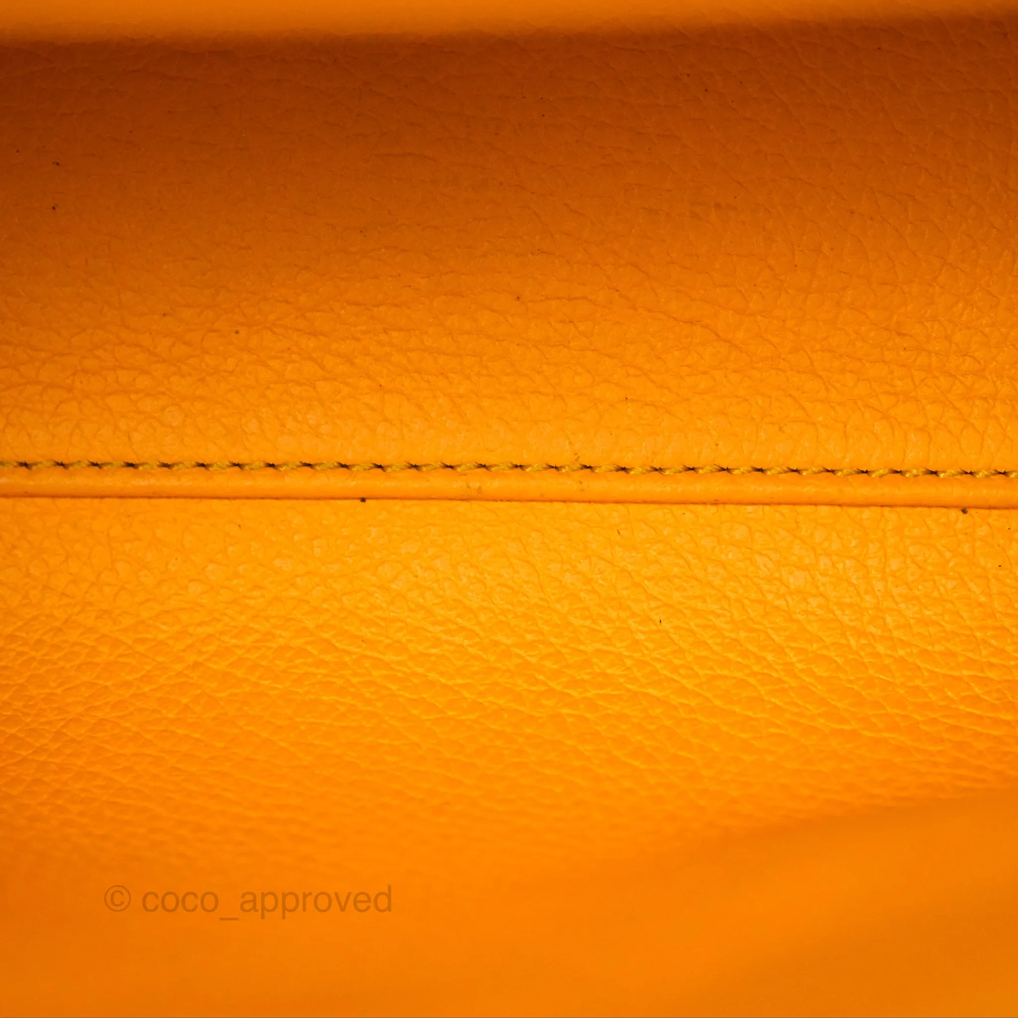Goyard Sagon Mini Bag Tan Goyardine Canvas/Chevroches Calfskin