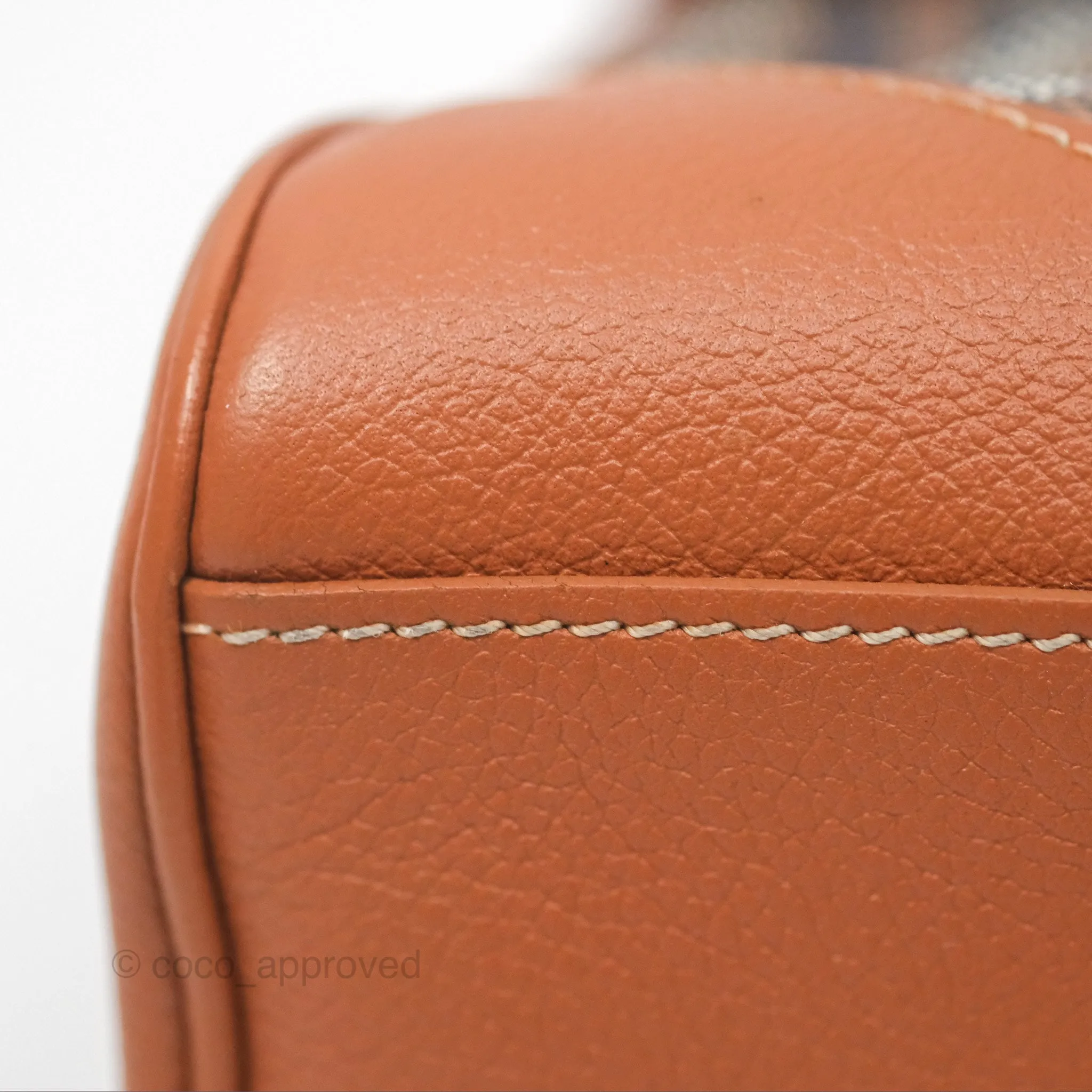 Goyard Sagon Mini Bag Tan Goyardine Canvas/Chevroches Calfskin