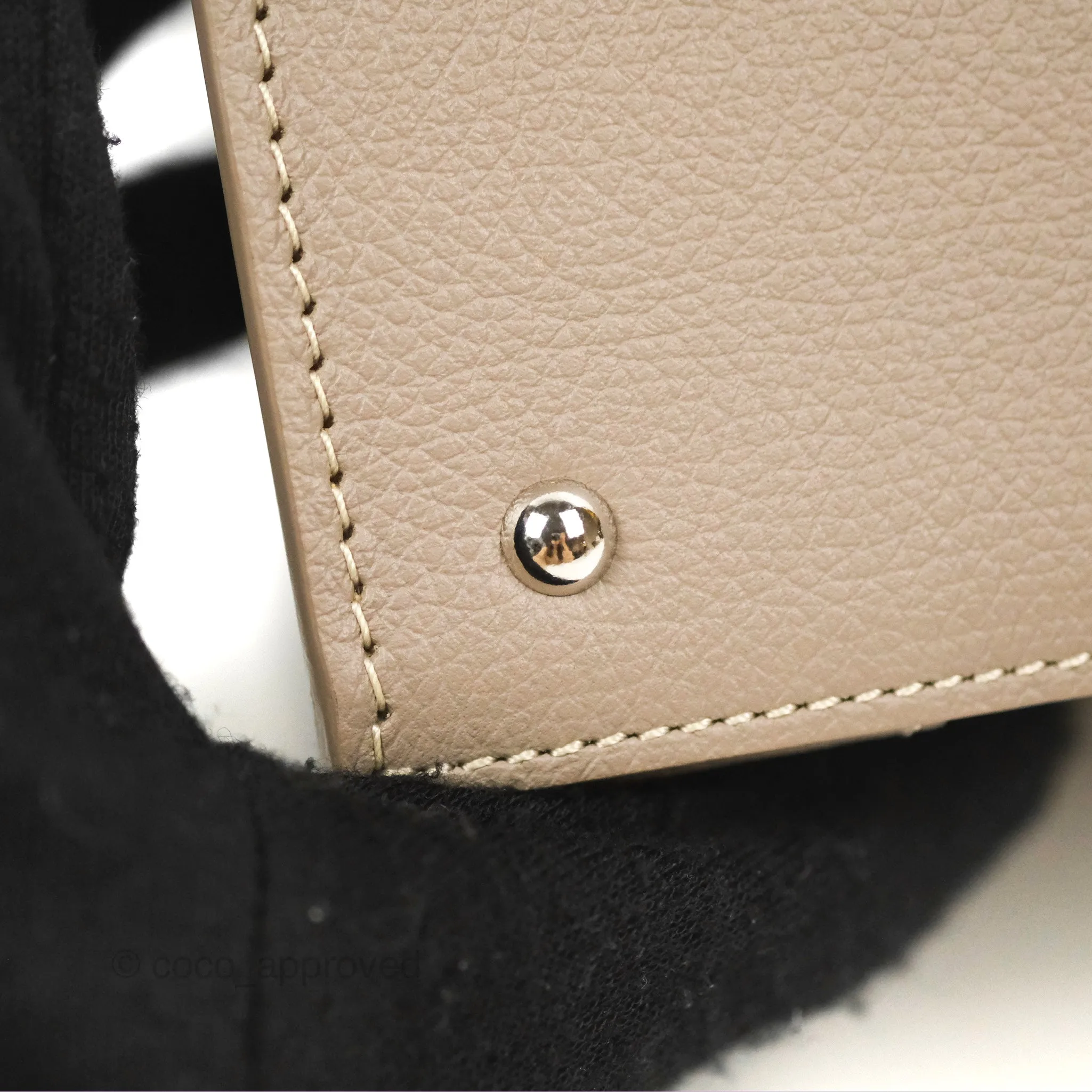 Goyard Sagon Structur Nano Bag Grege Silver Hardware