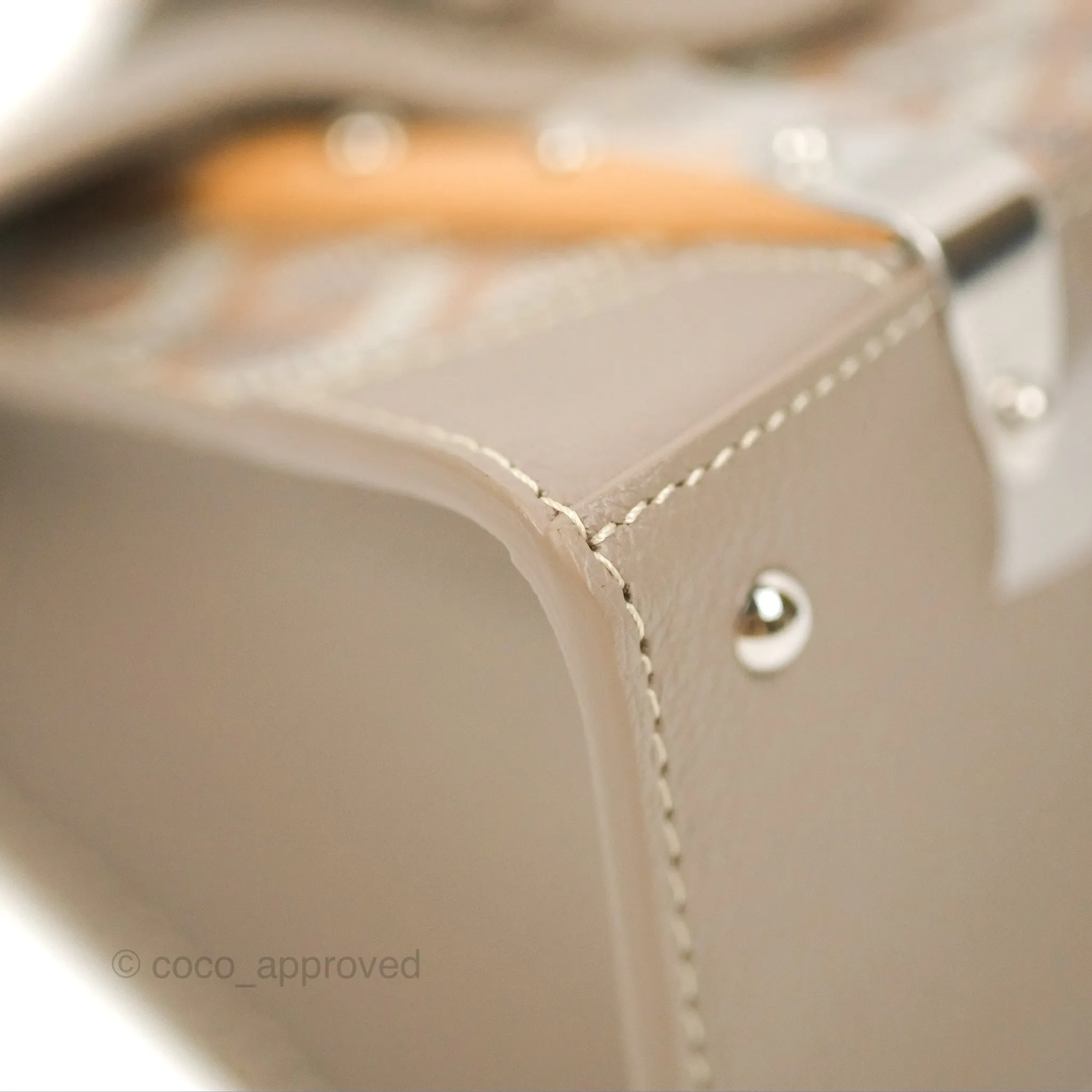 Goyard Sagon Structur Nano Bag Grege Silver Hardware