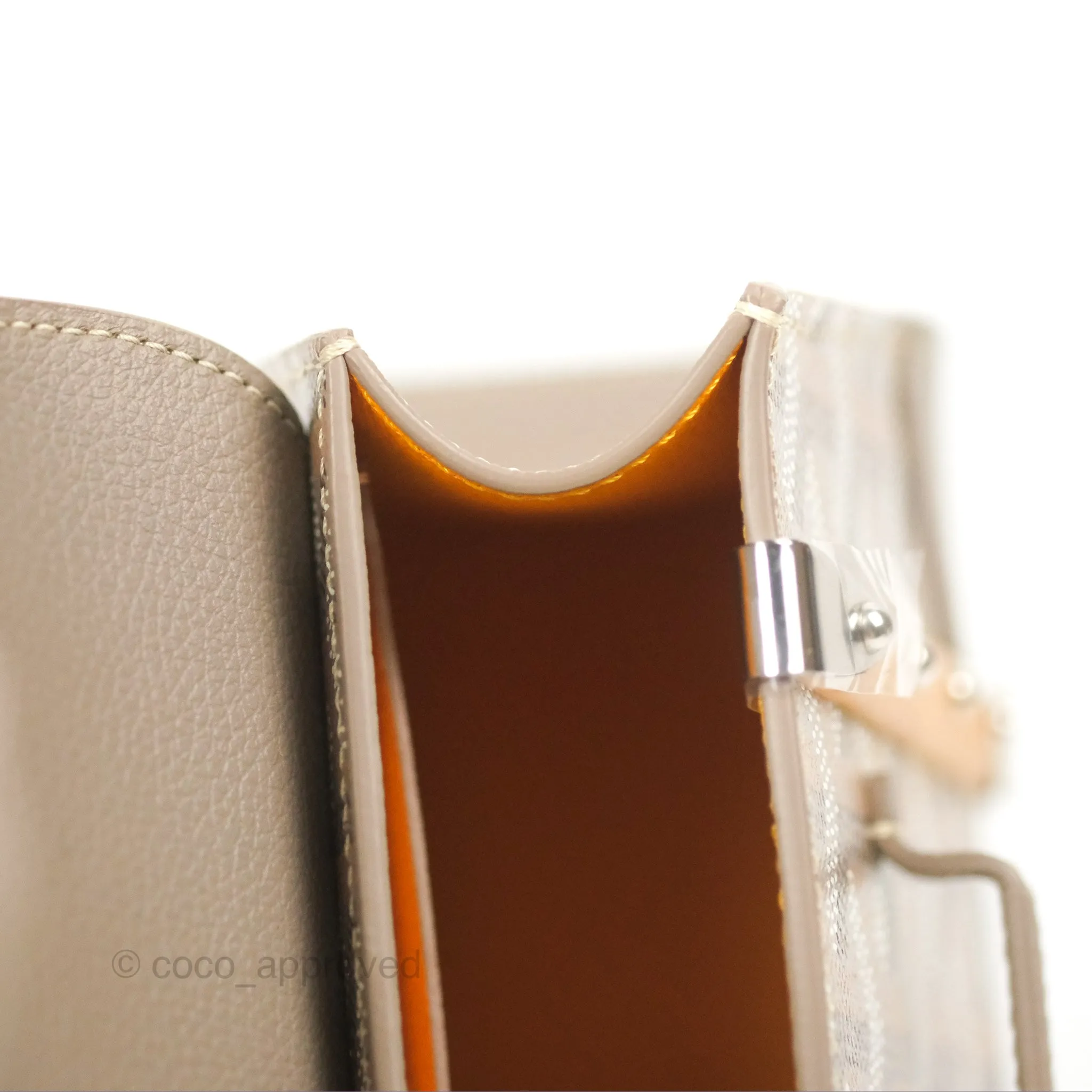 Goyard Sagon Structur Nano Bag Grege Silver Hardware