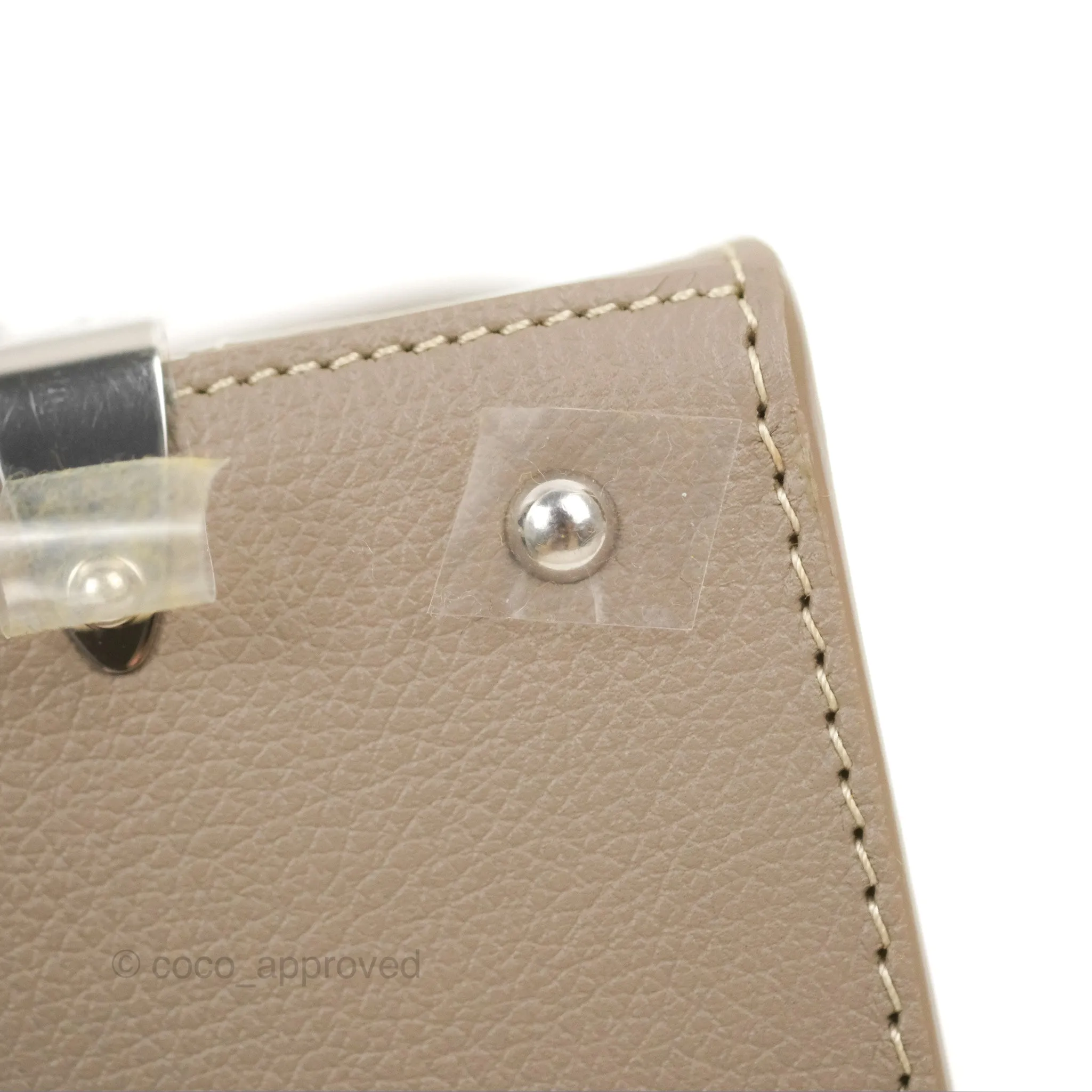 Goyard Sagon Structur Nano Bag Grege Silver Hardware
