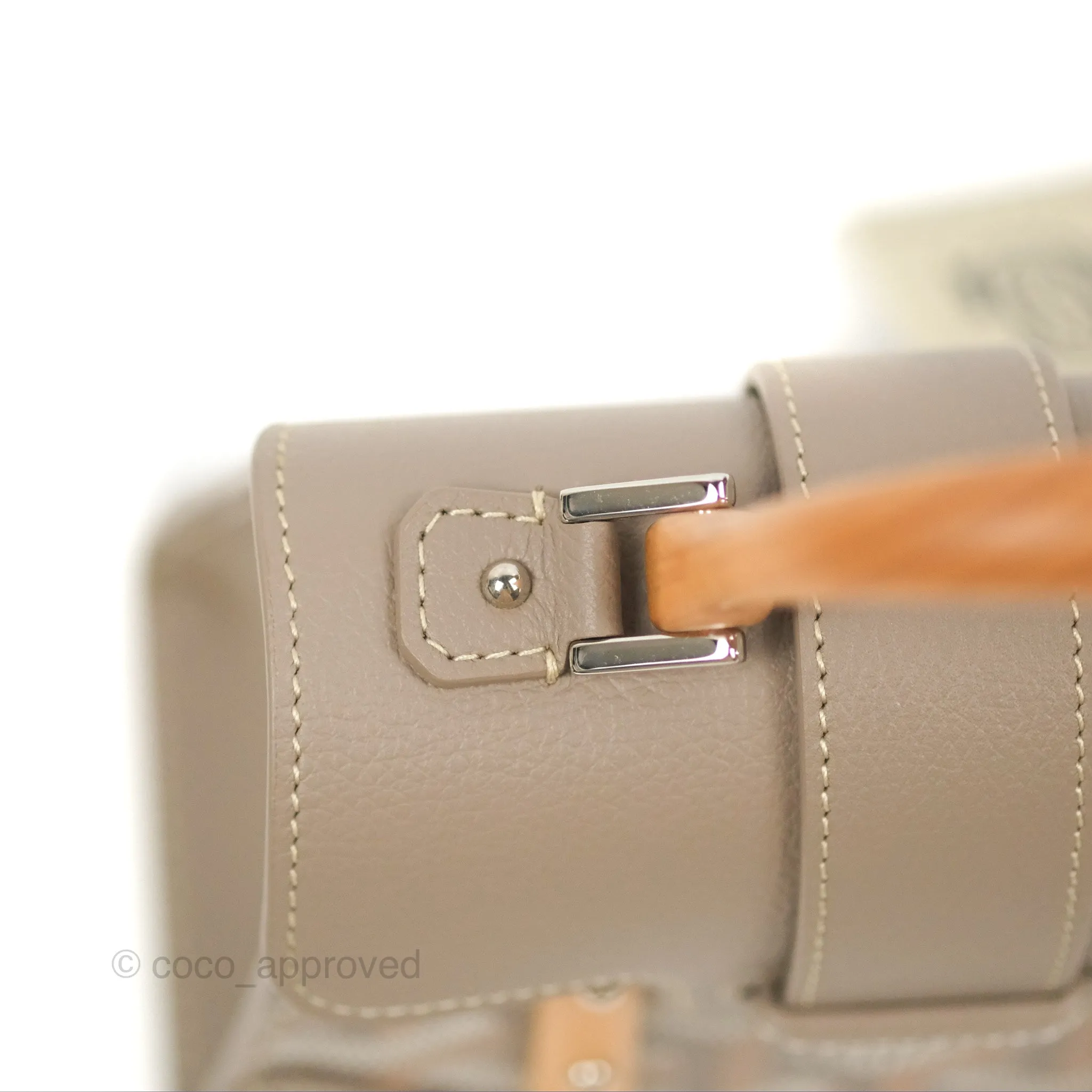 Goyard Sagon Structur Nano Bag Grege Silver Hardware