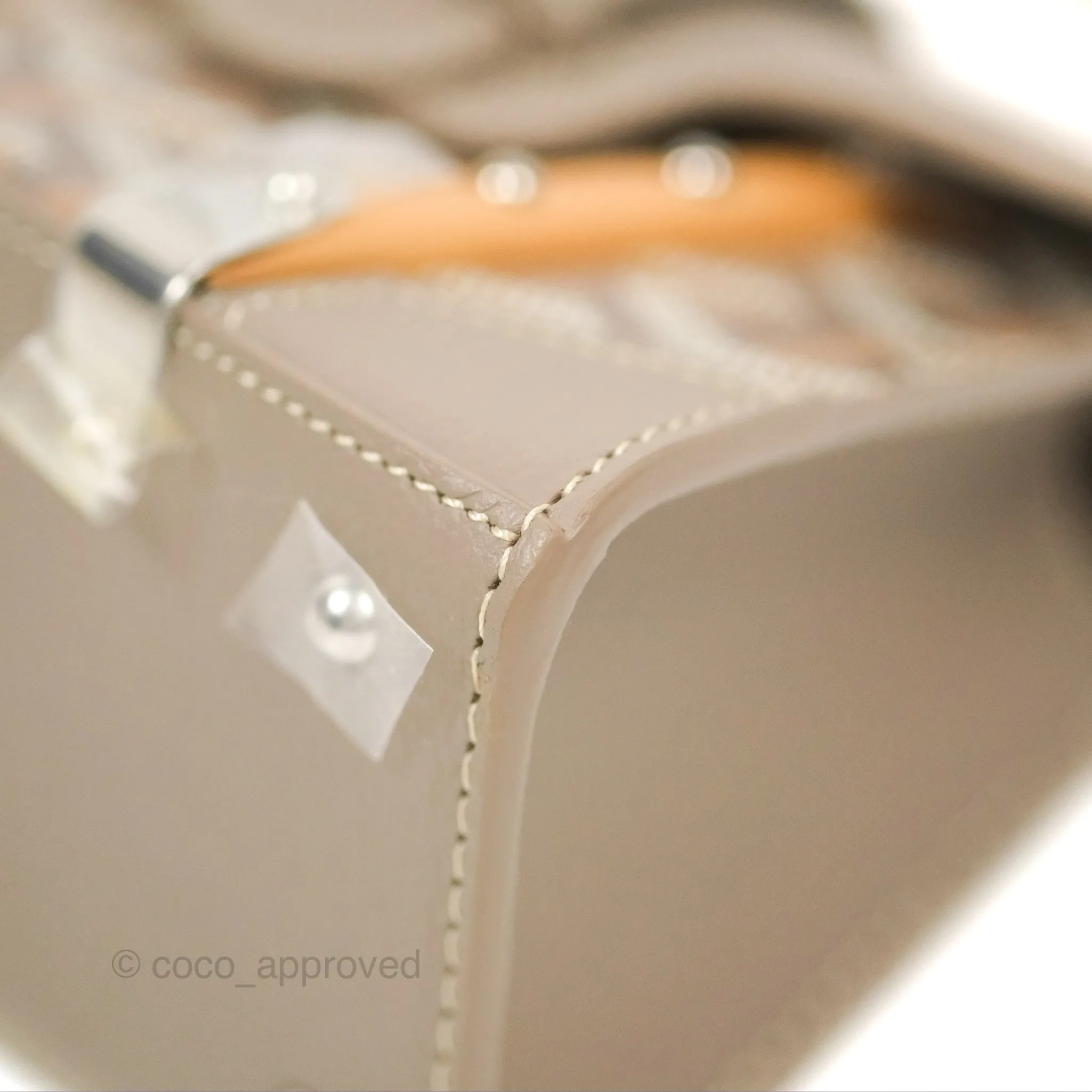 Goyard Sagon Structur Nano Bag Grege Silver Hardware
