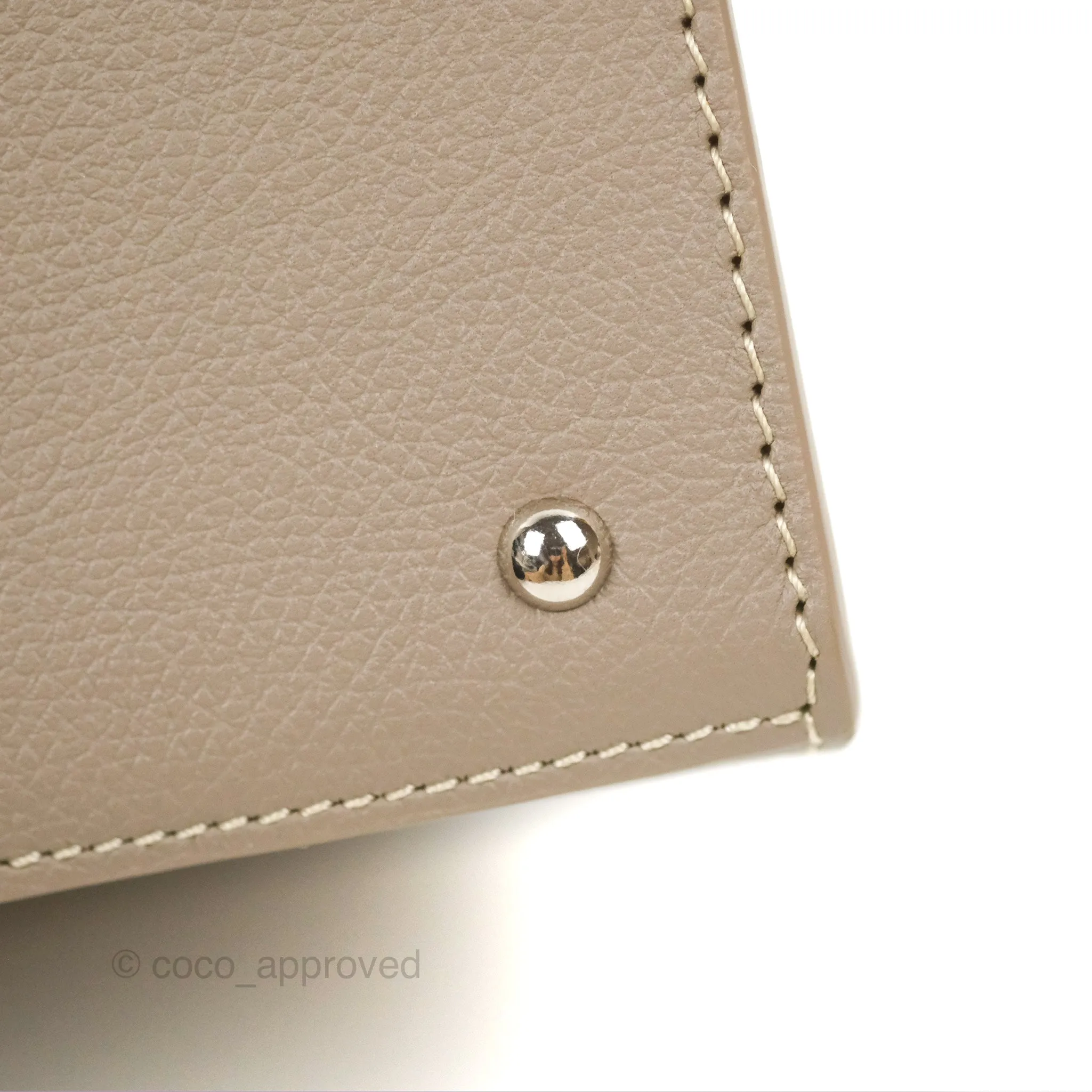 Goyard Sagon Structur Nano Bag Grege Silver Hardware