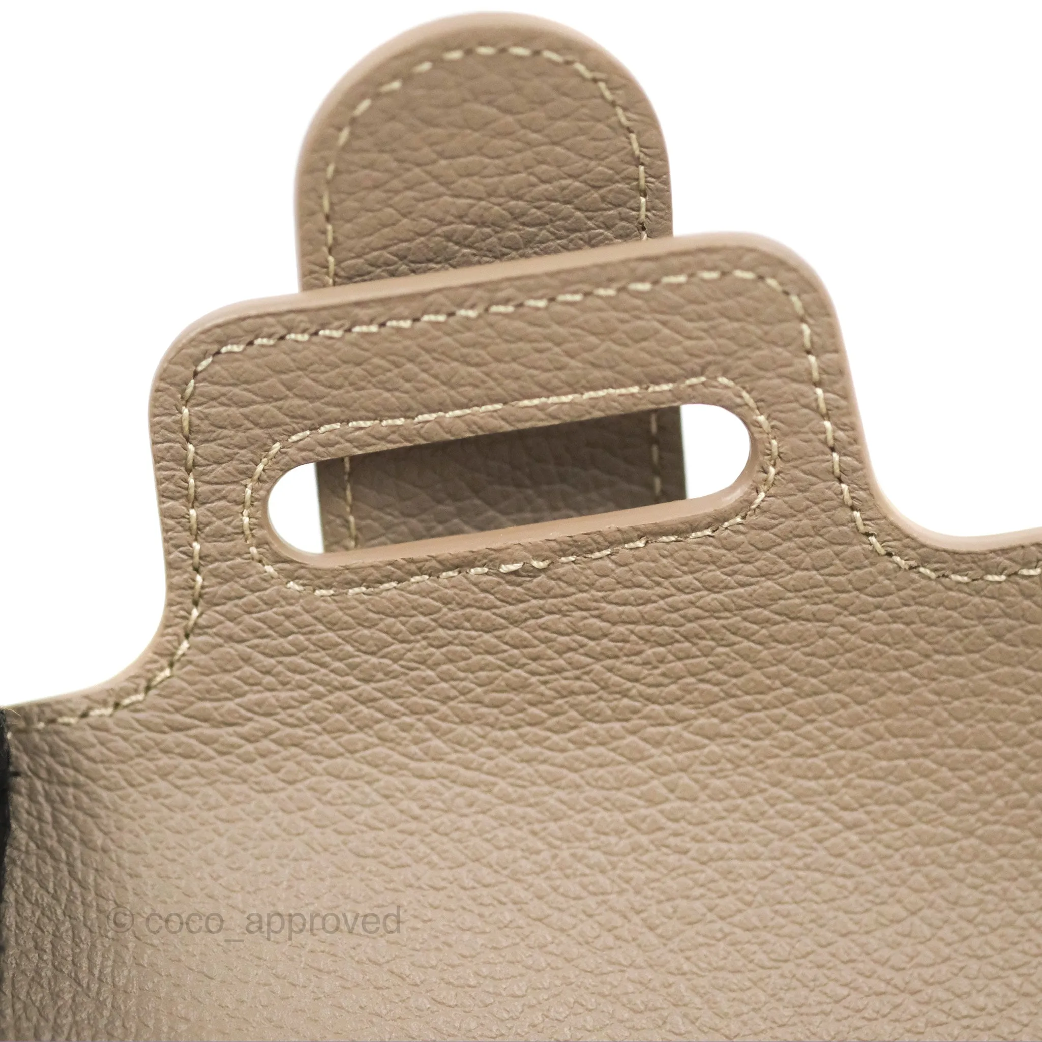 Goyard Sagon Structur Nano Bag Grege Silver Hardware