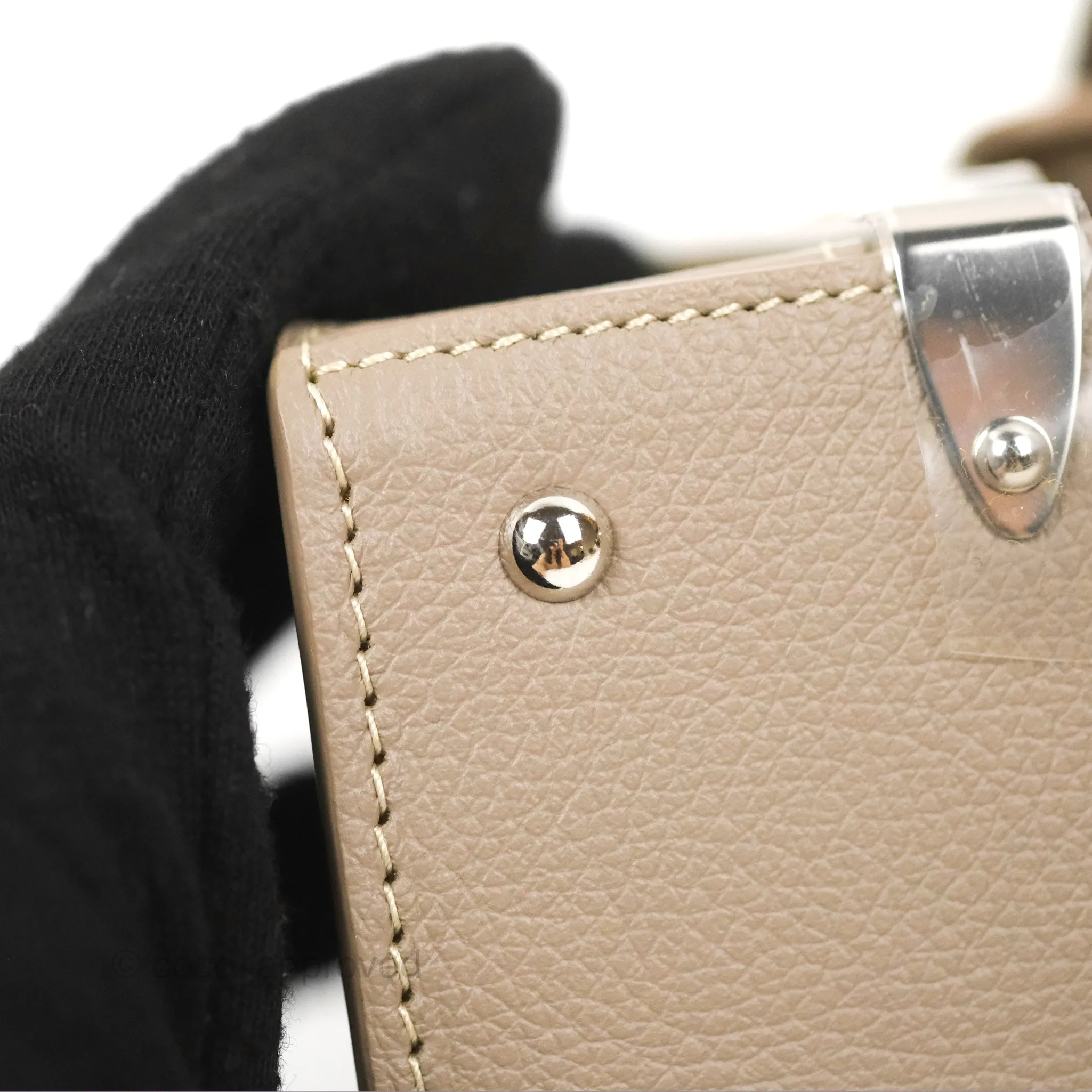 Goyard Sagon Structur Nano Bag Grege Silver Hardware