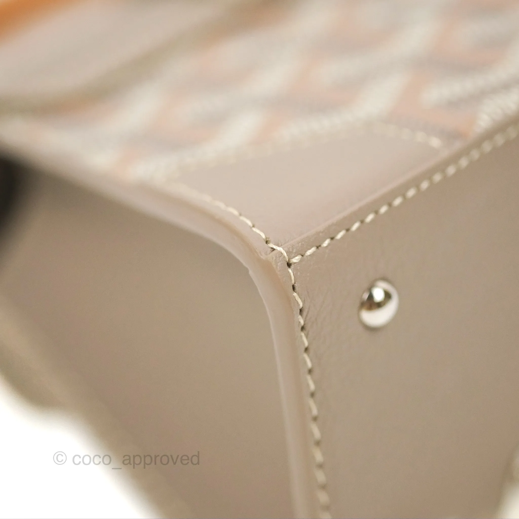 Goyard Sagon Structur Nano Bag Grege Silver Hardware