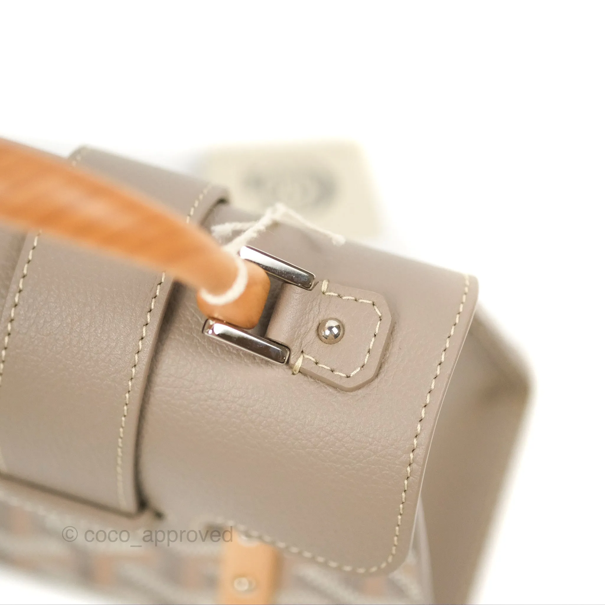 Goyard Sagon Structur Nano Bag Grege Silver Hardware