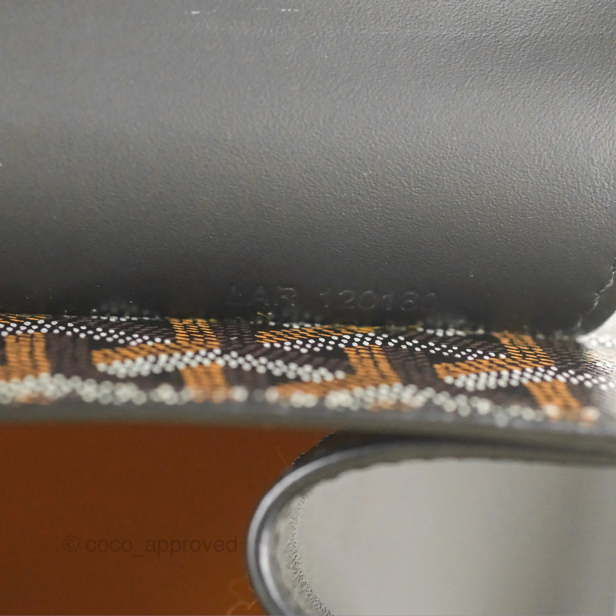 Goyard Sagon Structur PM Bag Black Goyardine Canvas