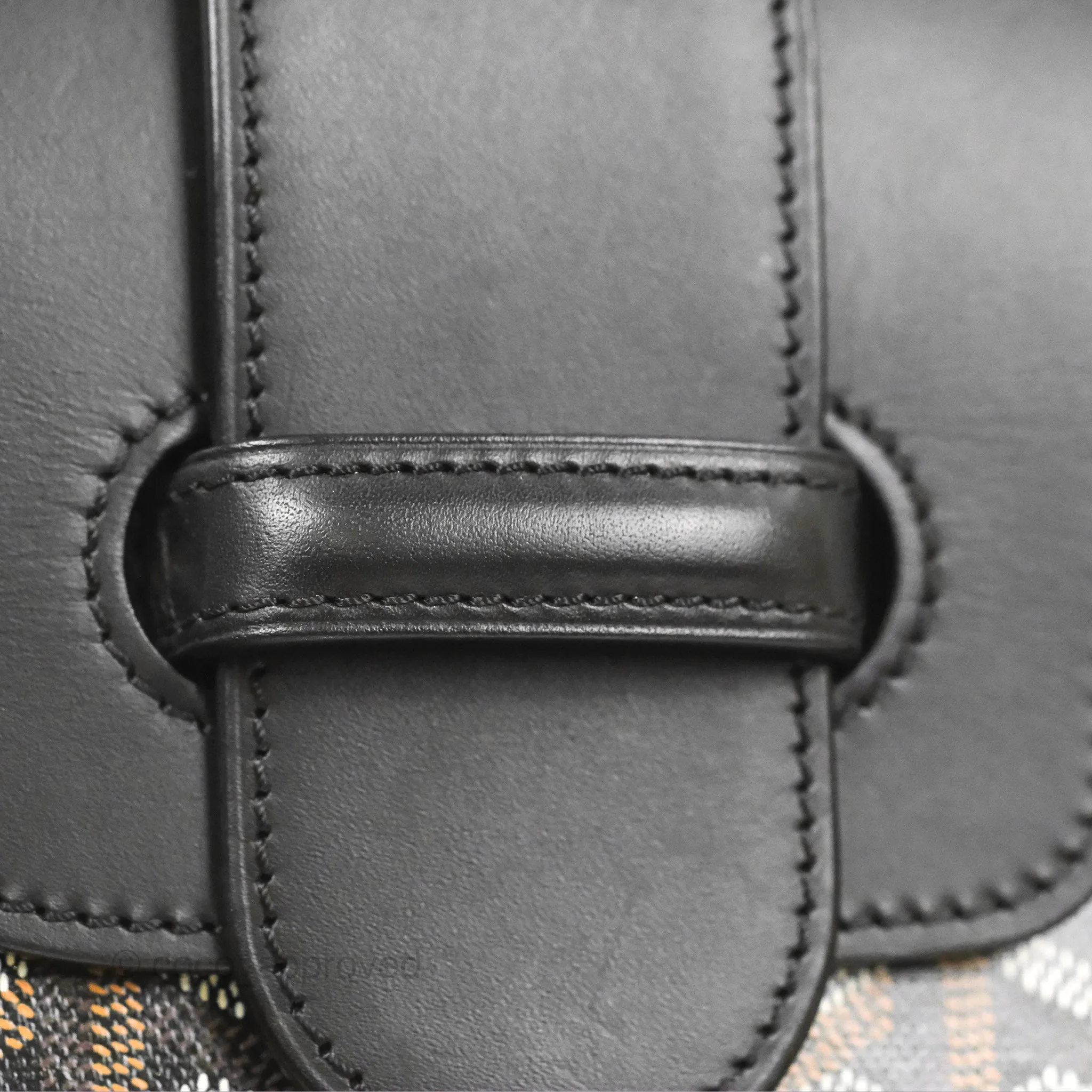 Goyard Sagon Structur PM Bag Black Goyardine Canvas