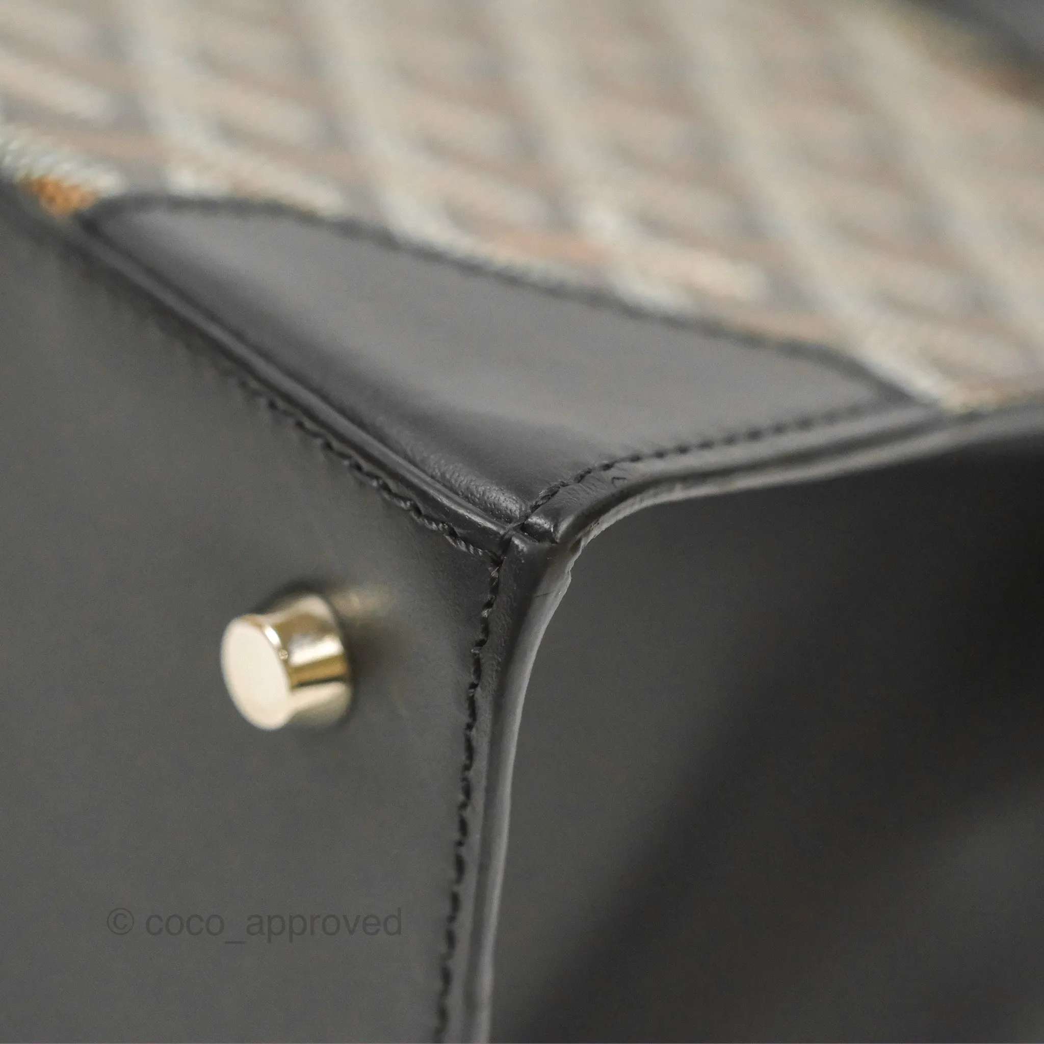 Goyard Sagon Structur PM Bag Black Goyardine Canvas