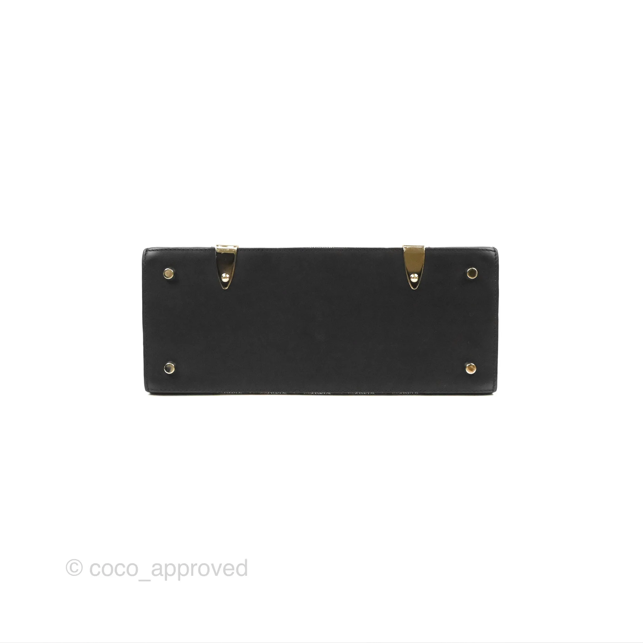 Goyard Sagon Structur PM Bag Black Goyardine Canvas