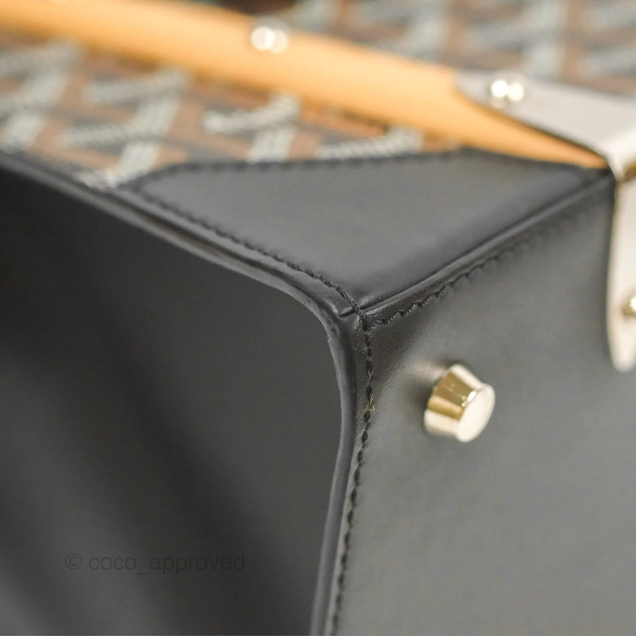 Goyard Sagon Structur PM Bag Black Goyardine Canvas