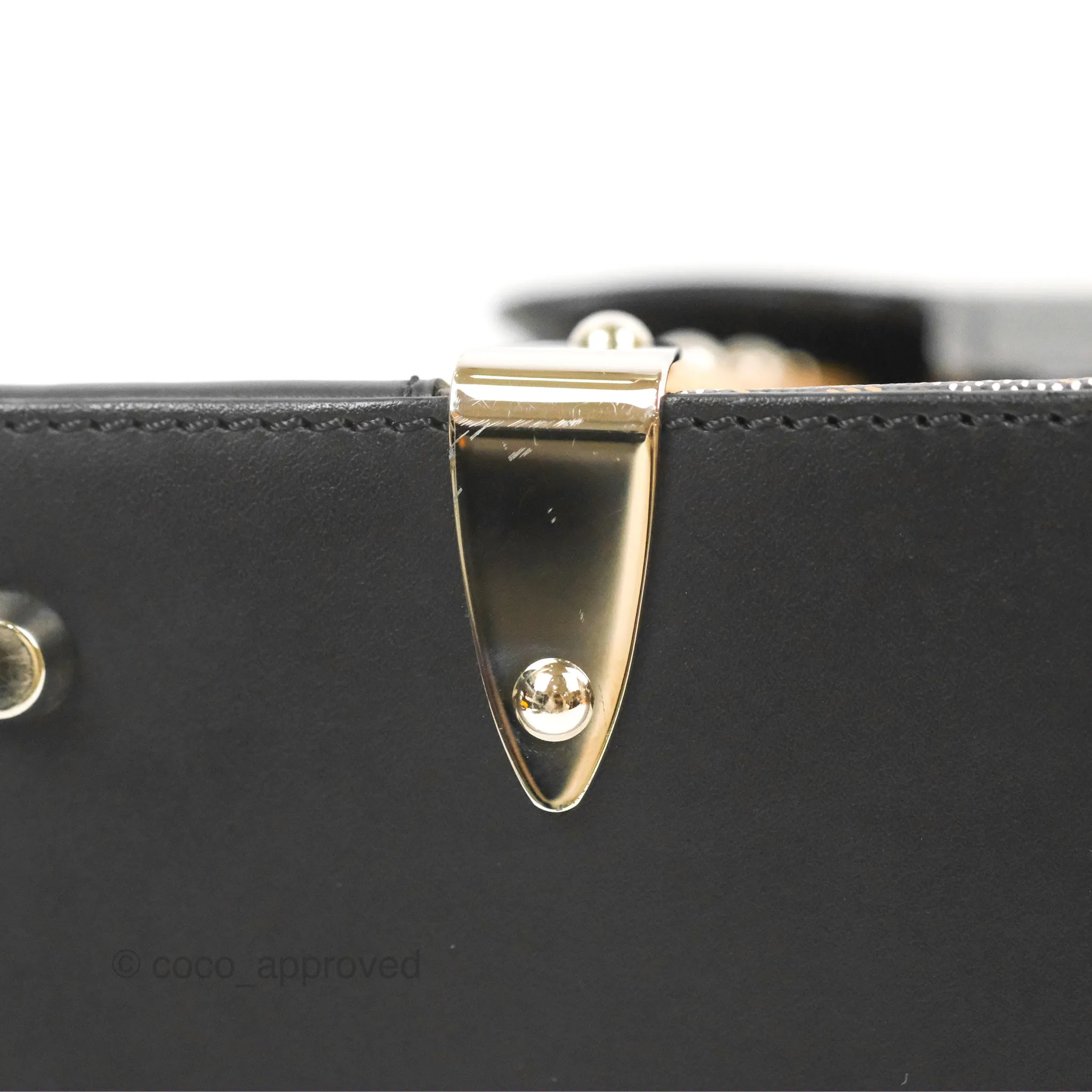 Goyard Sagon Structur PM Bag Black Goyardine Canvas