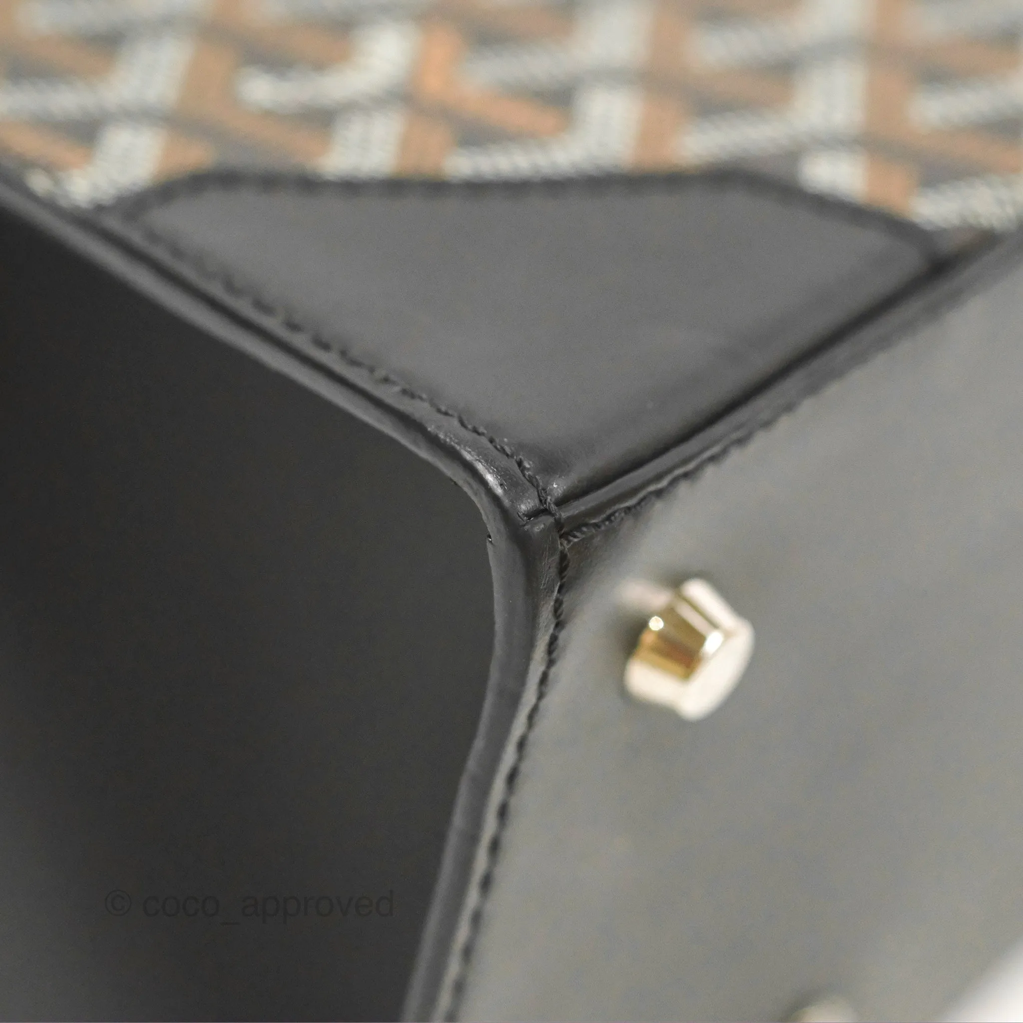 Goyard Sagon Structur PM Bag Black Goyardine Canvas
