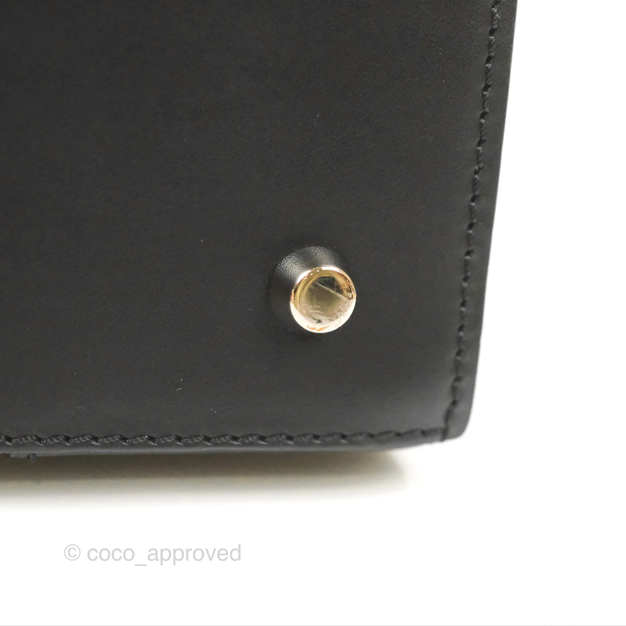Goyard Sagon Structur PM Bag Black Goyardine Canvas