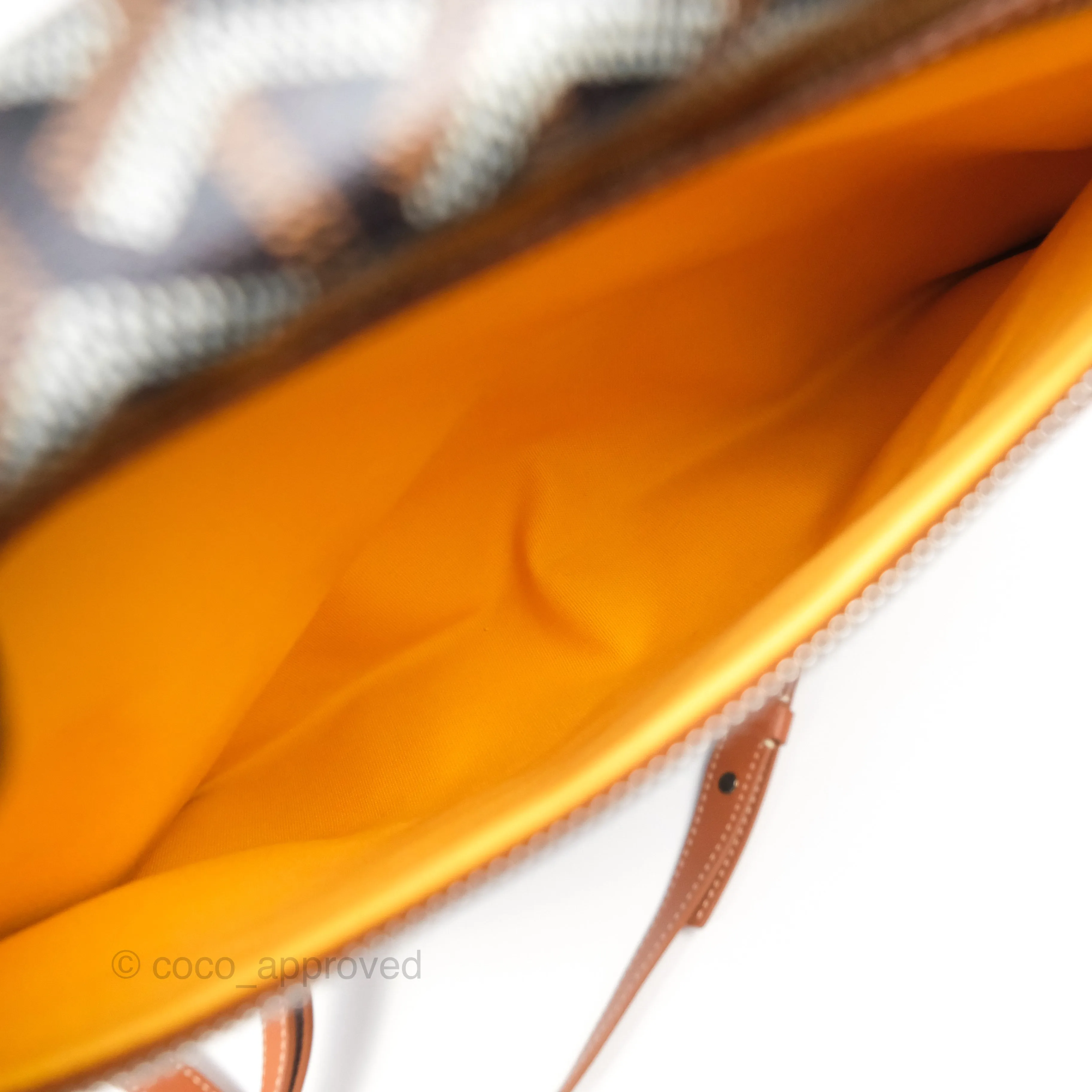 Goyard Saint Lger Backpack Black/ Tan