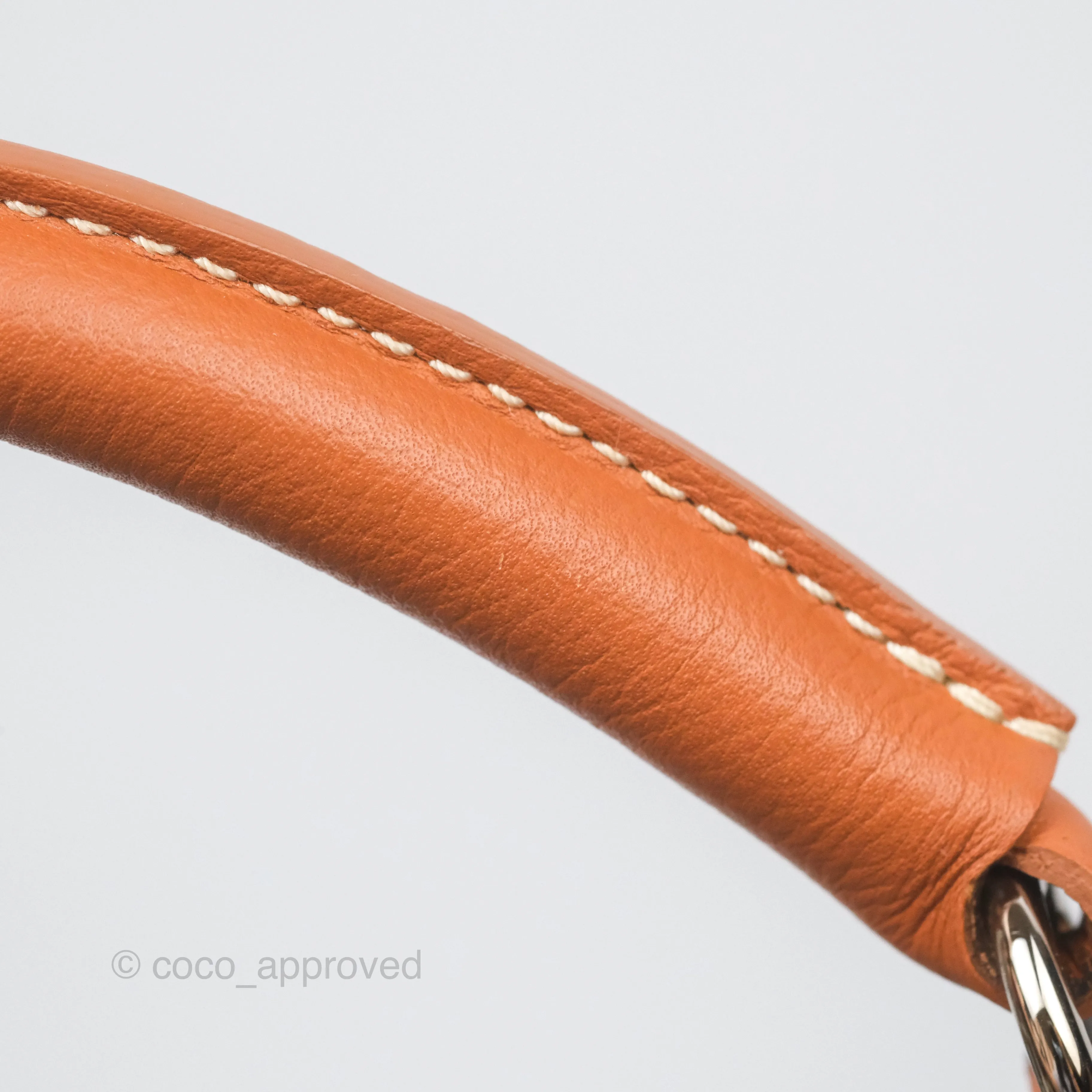 Goyard Saint Lger Backpack Black/ Tan