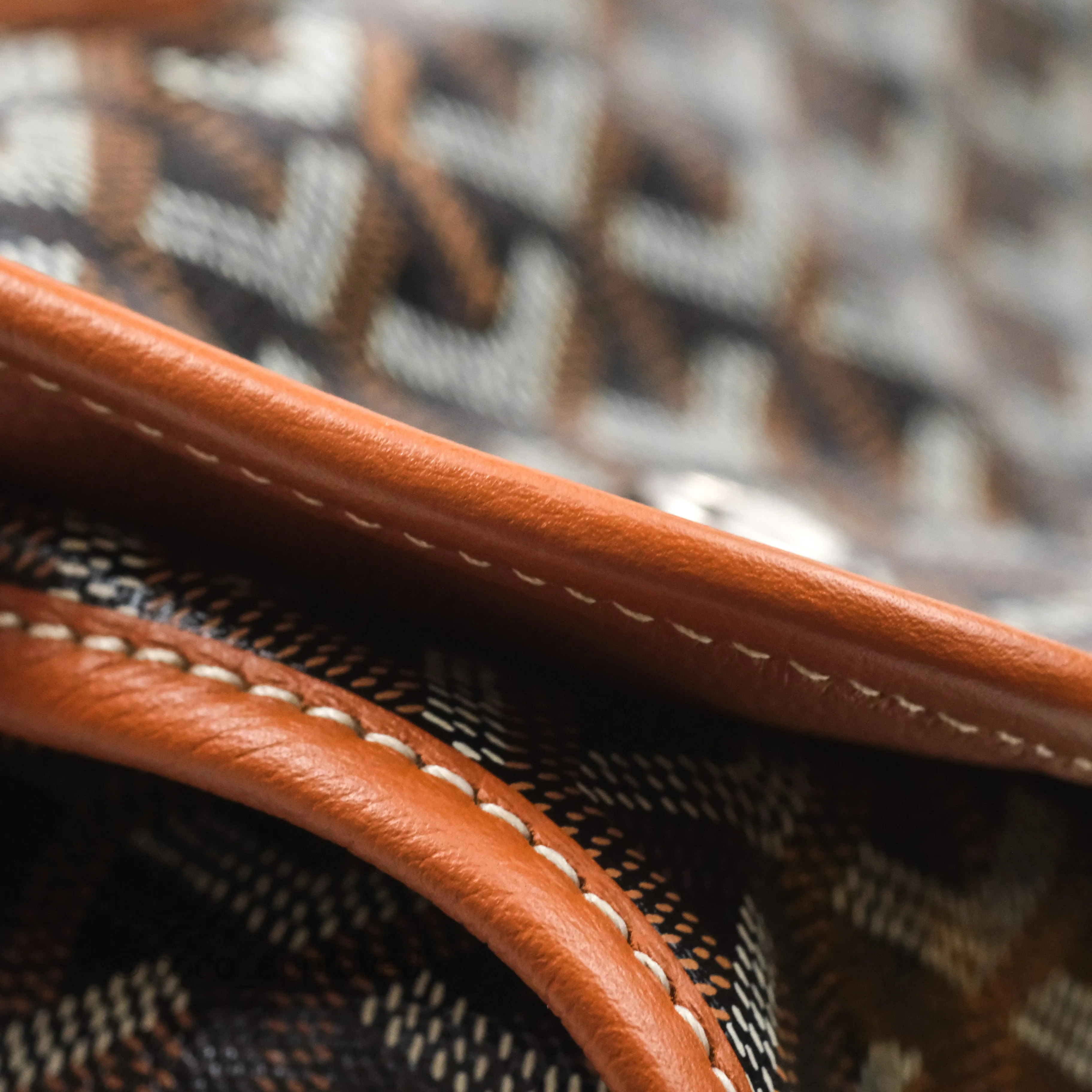 Goyard Saint Lger Backpack Black/ Tan