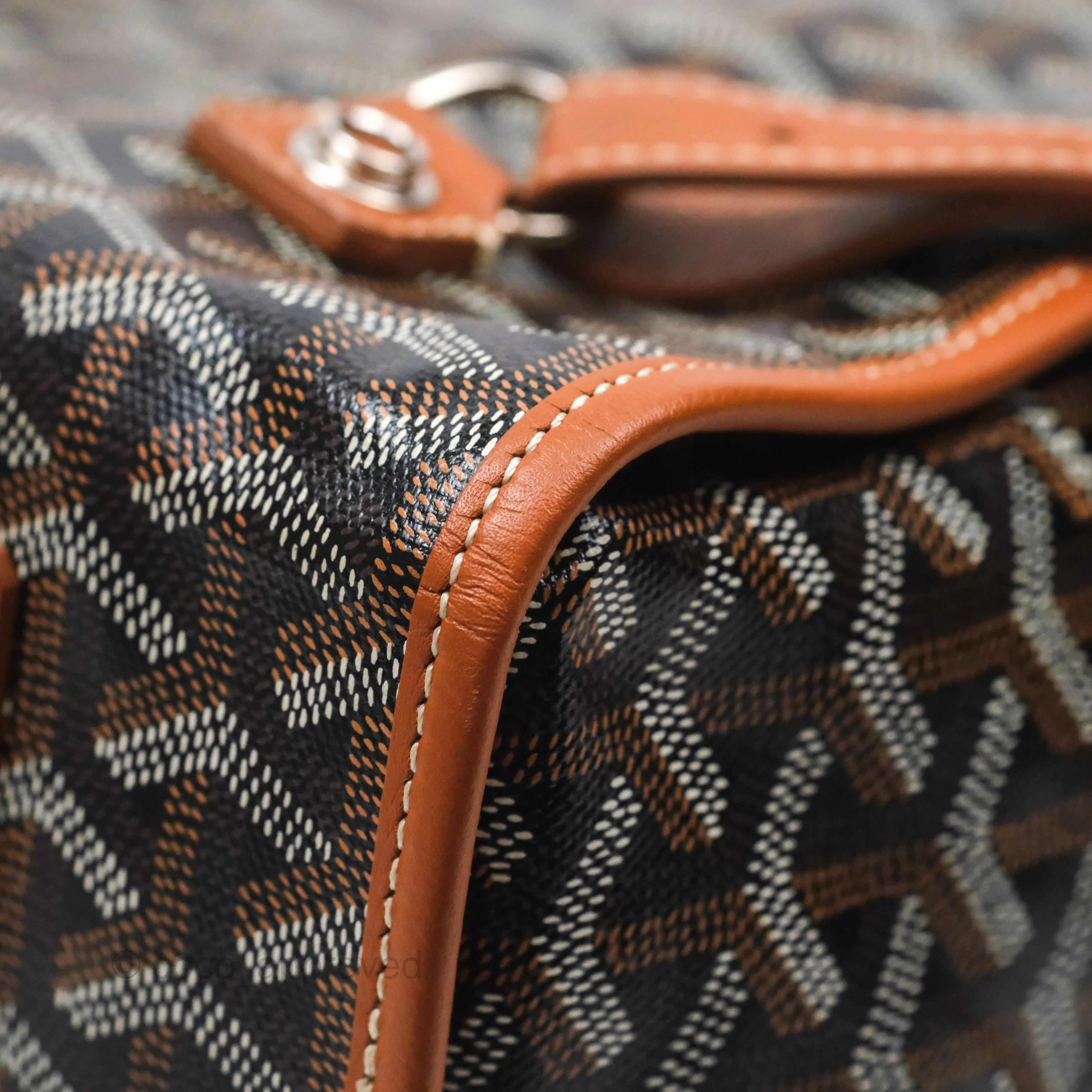 Goyard Saint Lger Backpack Black/ Tan
