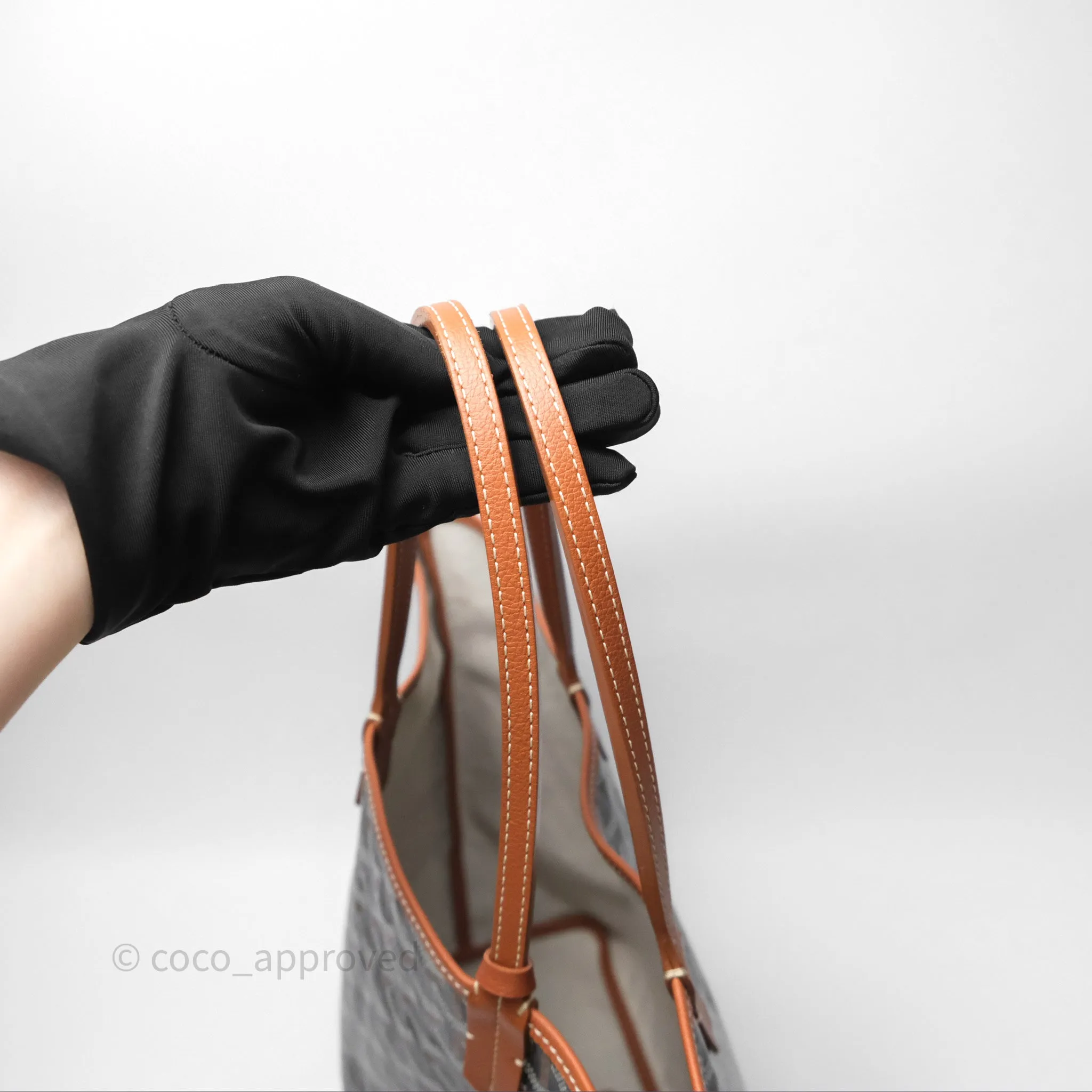 Goyard Saint Louis Tote PM Black/Tan