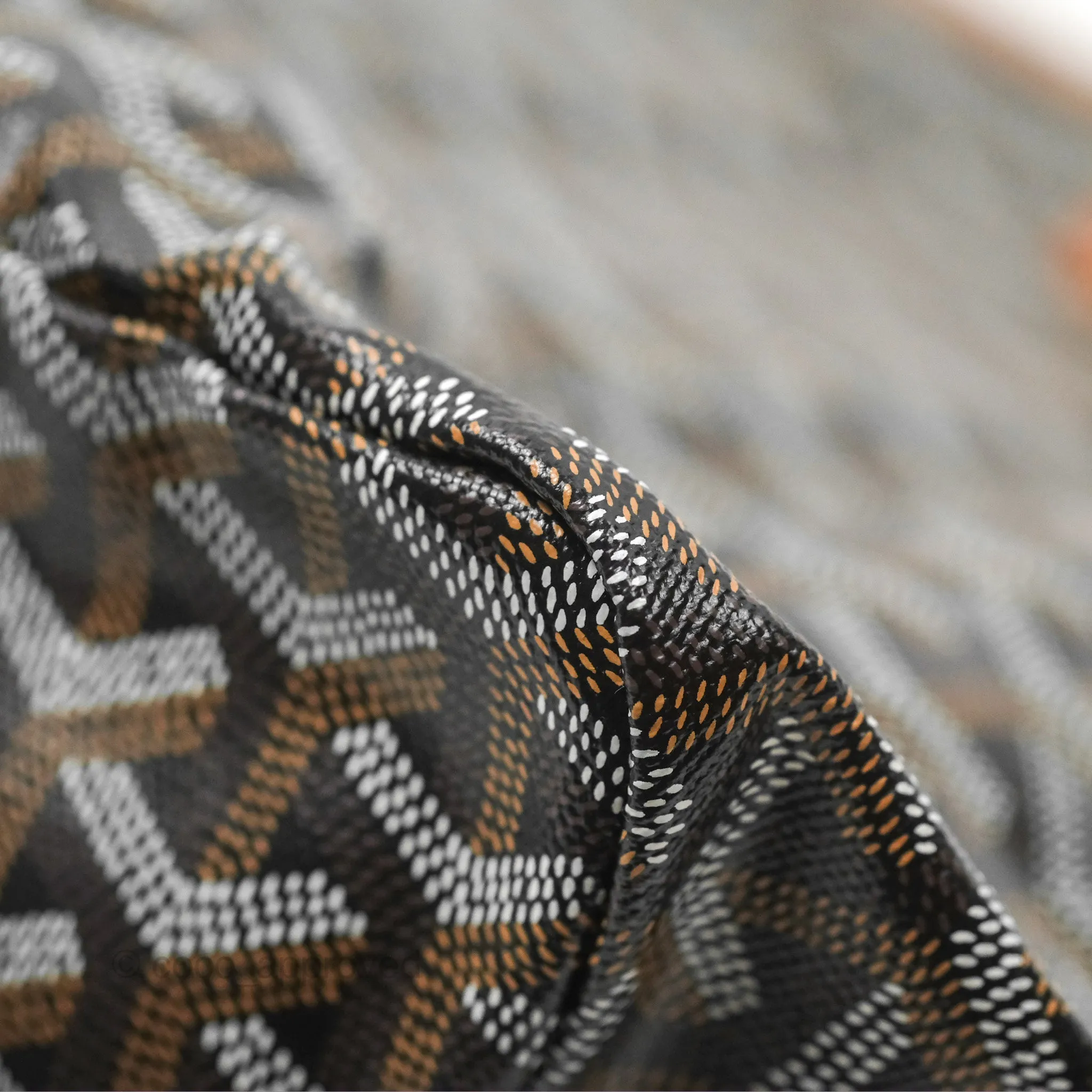 Goyard Saint Louis Tote PM Black/Tan