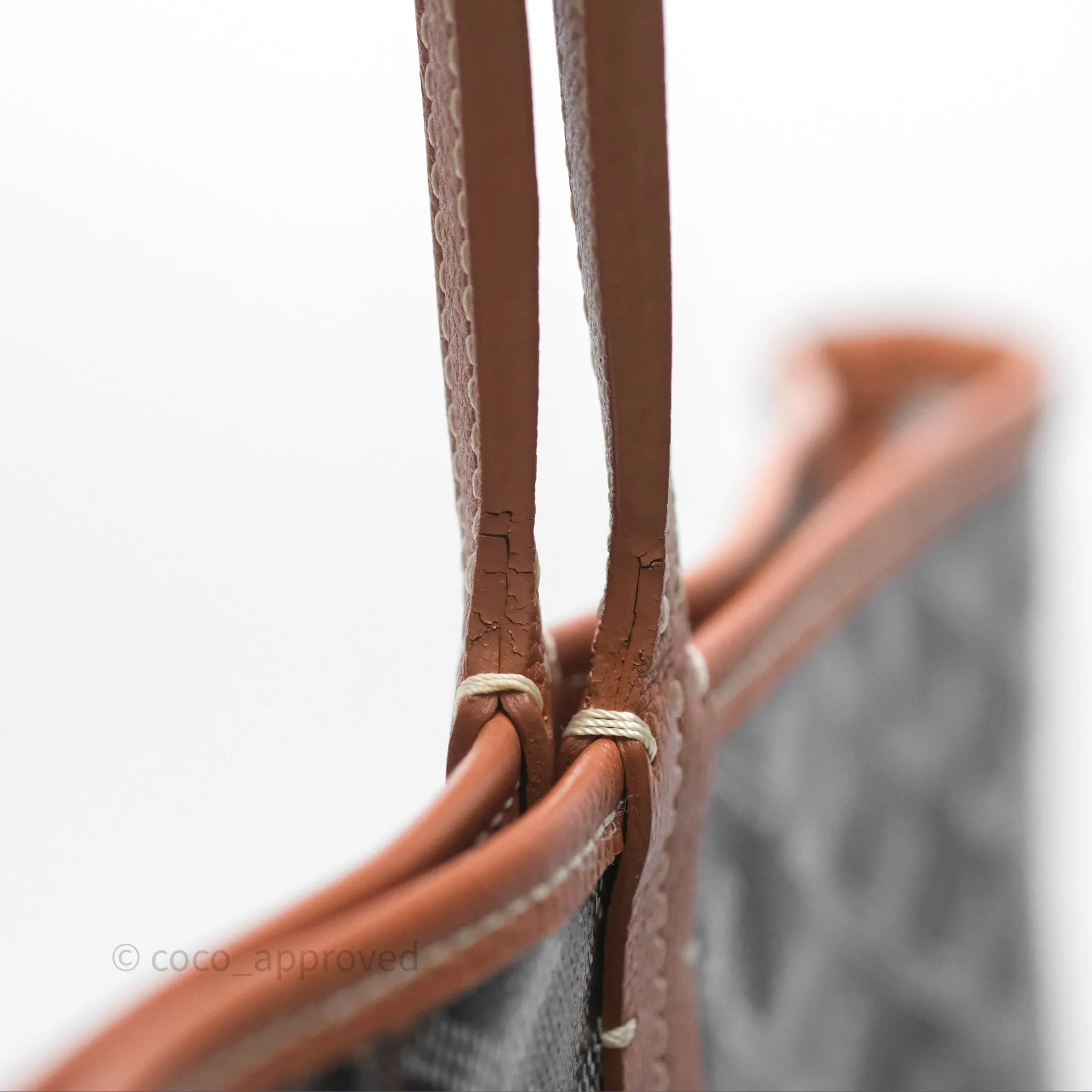 Goyard Saint Louis Tote PM Black/Tan
