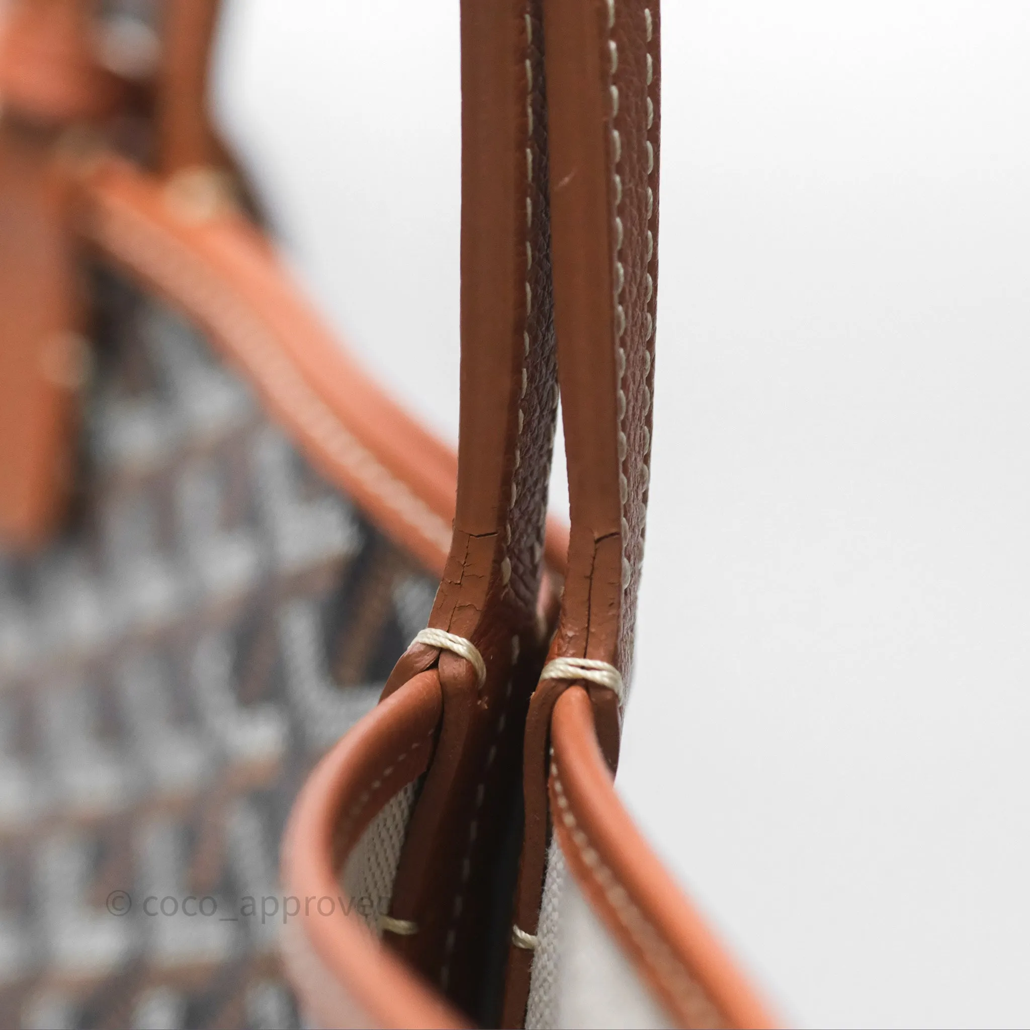 Goyard Saint Louis Tote PM Black/Tan