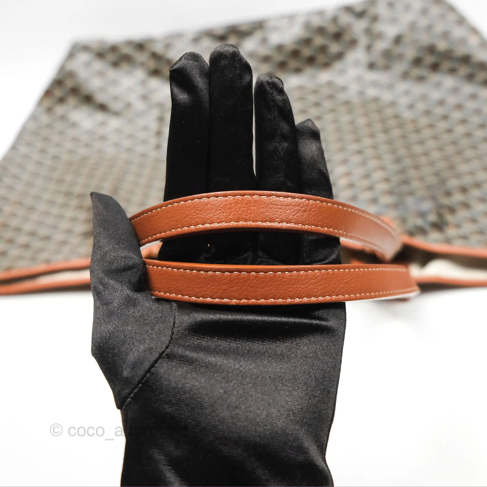 Goyard St. Louis Tote GM Black/Tan