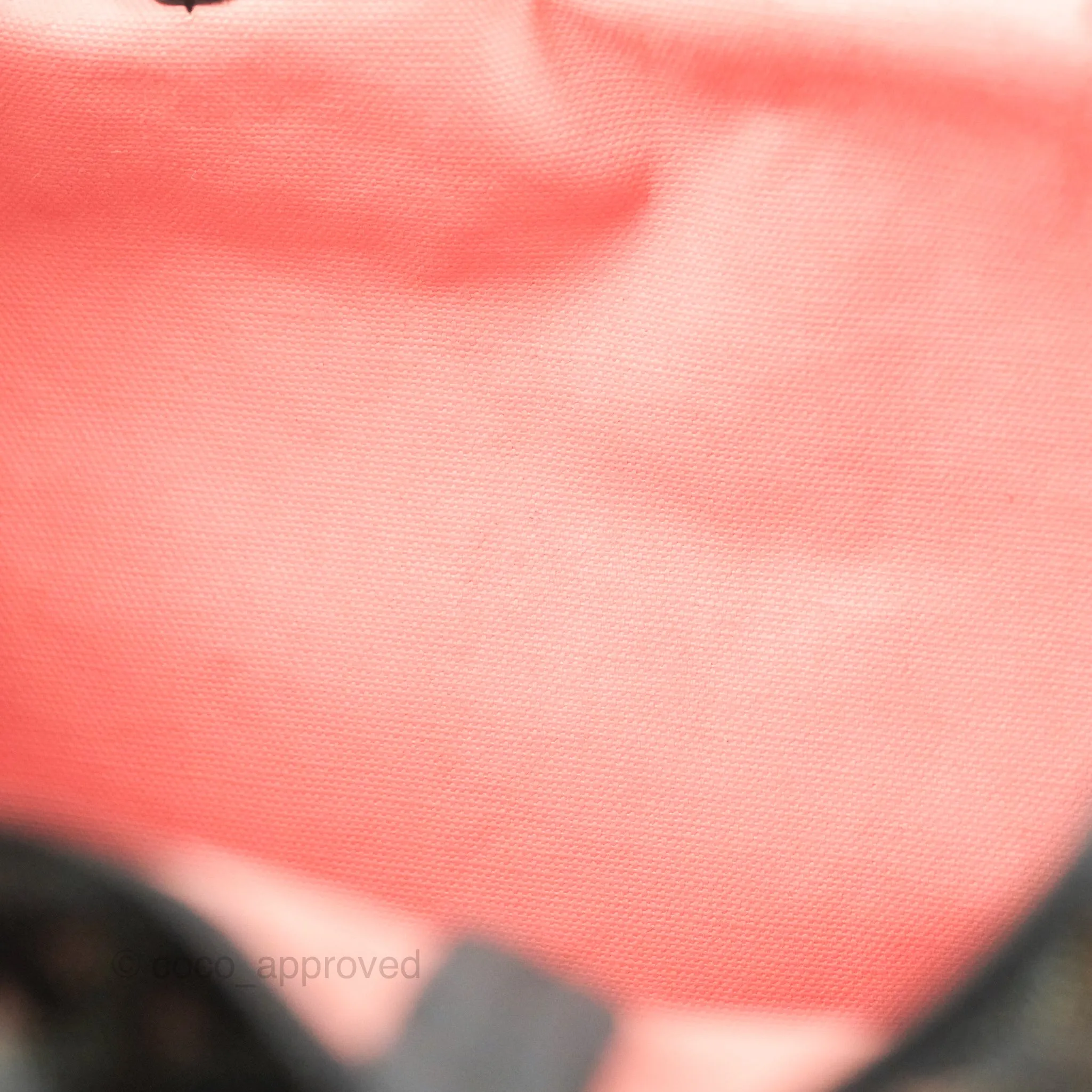 Goyard St. Louis Tote PM Clairvoie Black/Pink Japan Edition