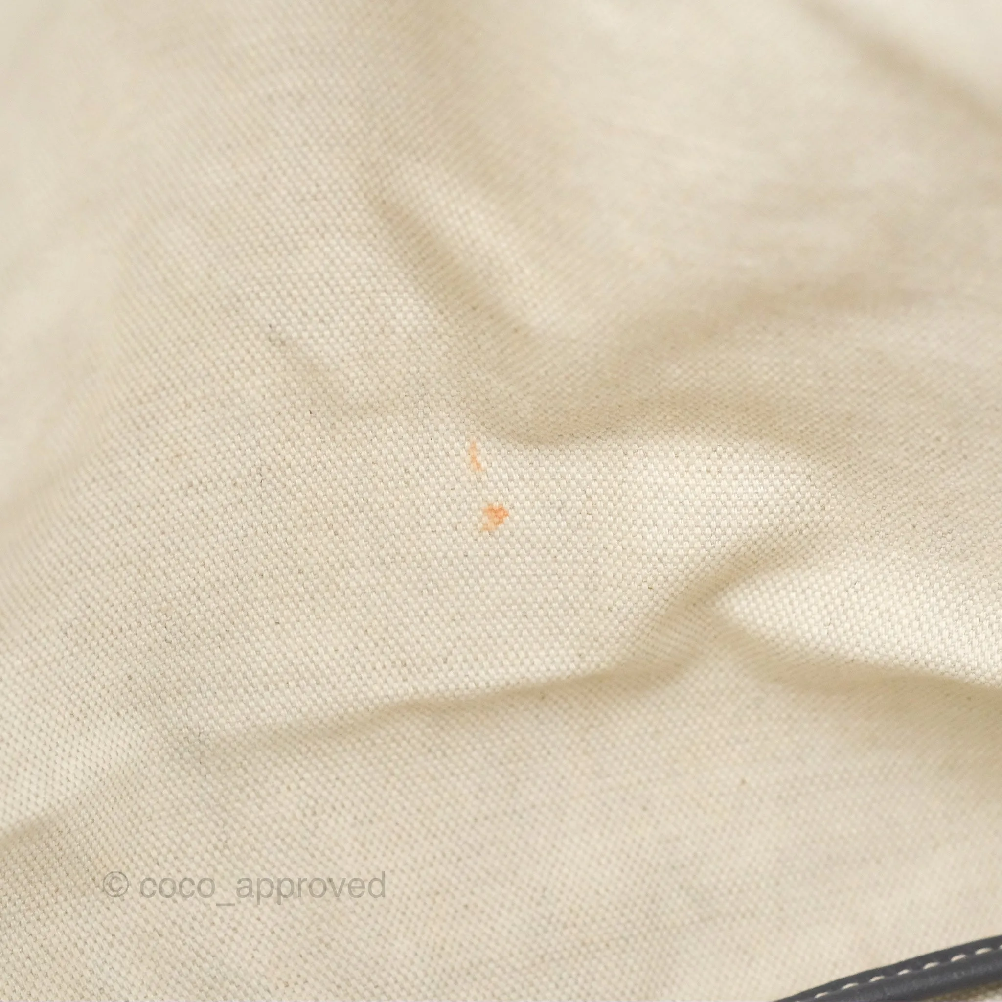 Goyard St Louis Tote PM Grey Goyardine Canvas