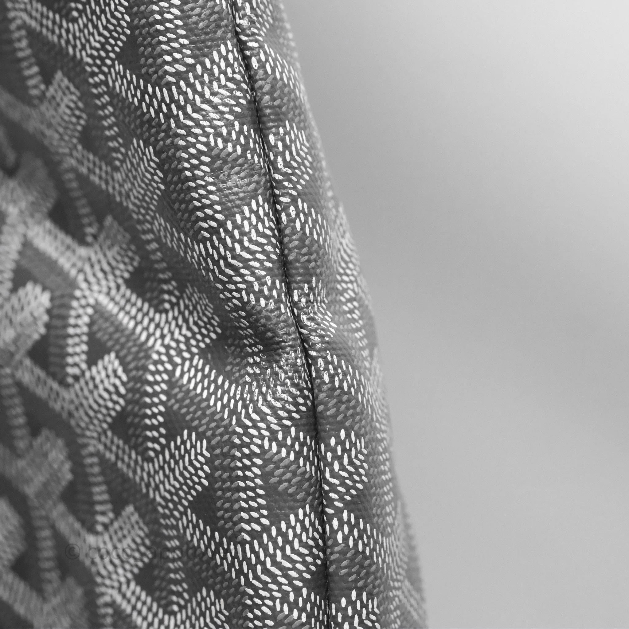 Goyard St Louis Tote PM Grey