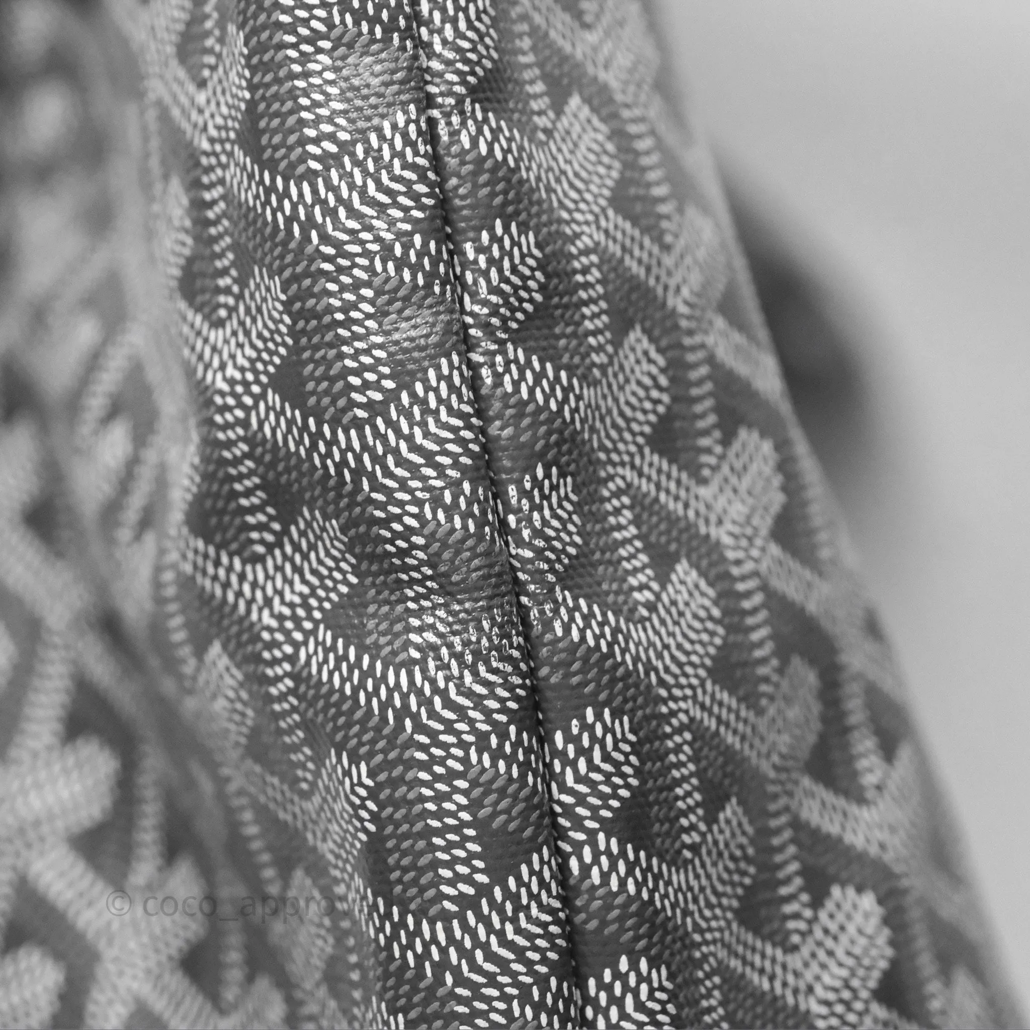 Goyard St Louis Tote PM Grey