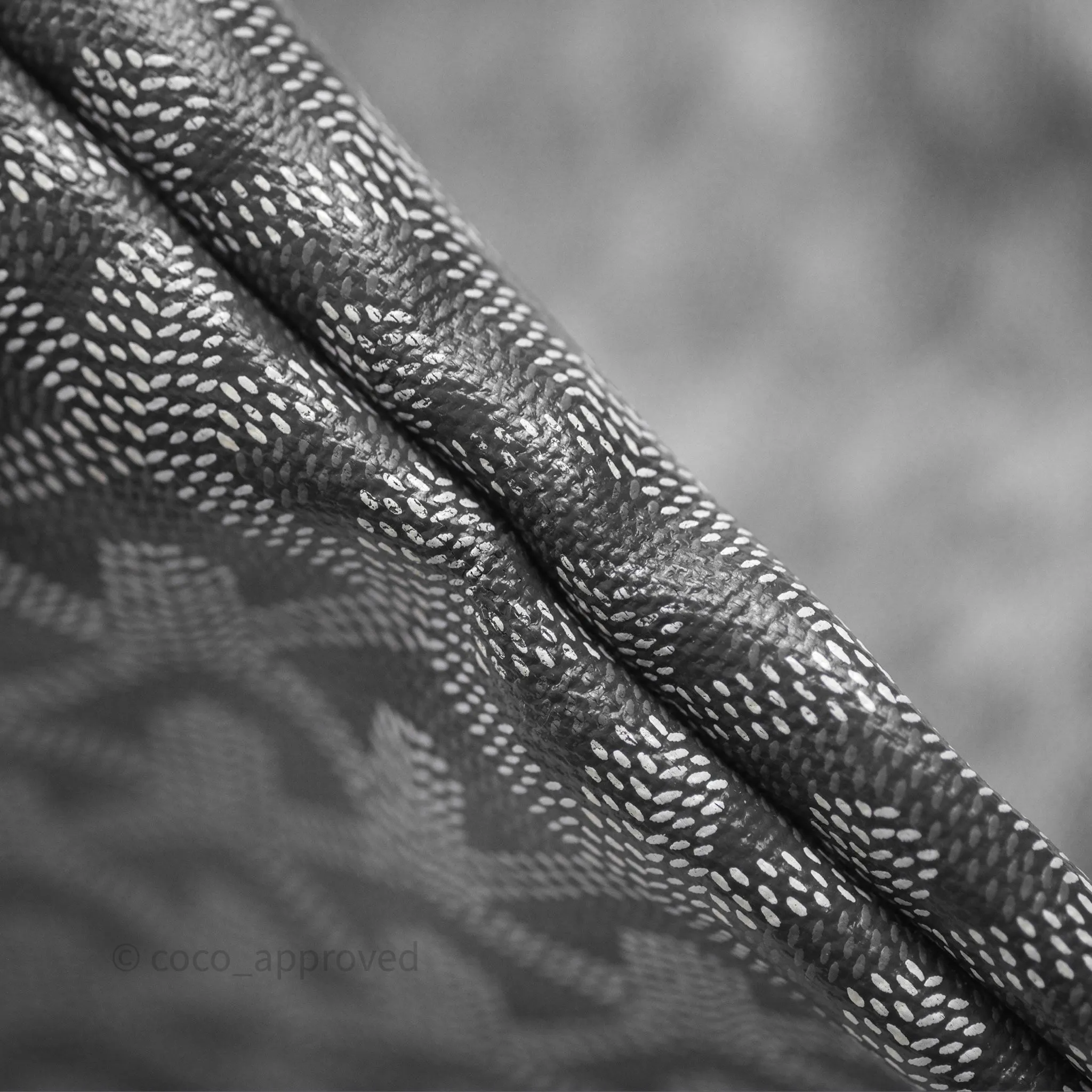 Goyard St Louis Tote PM Grey