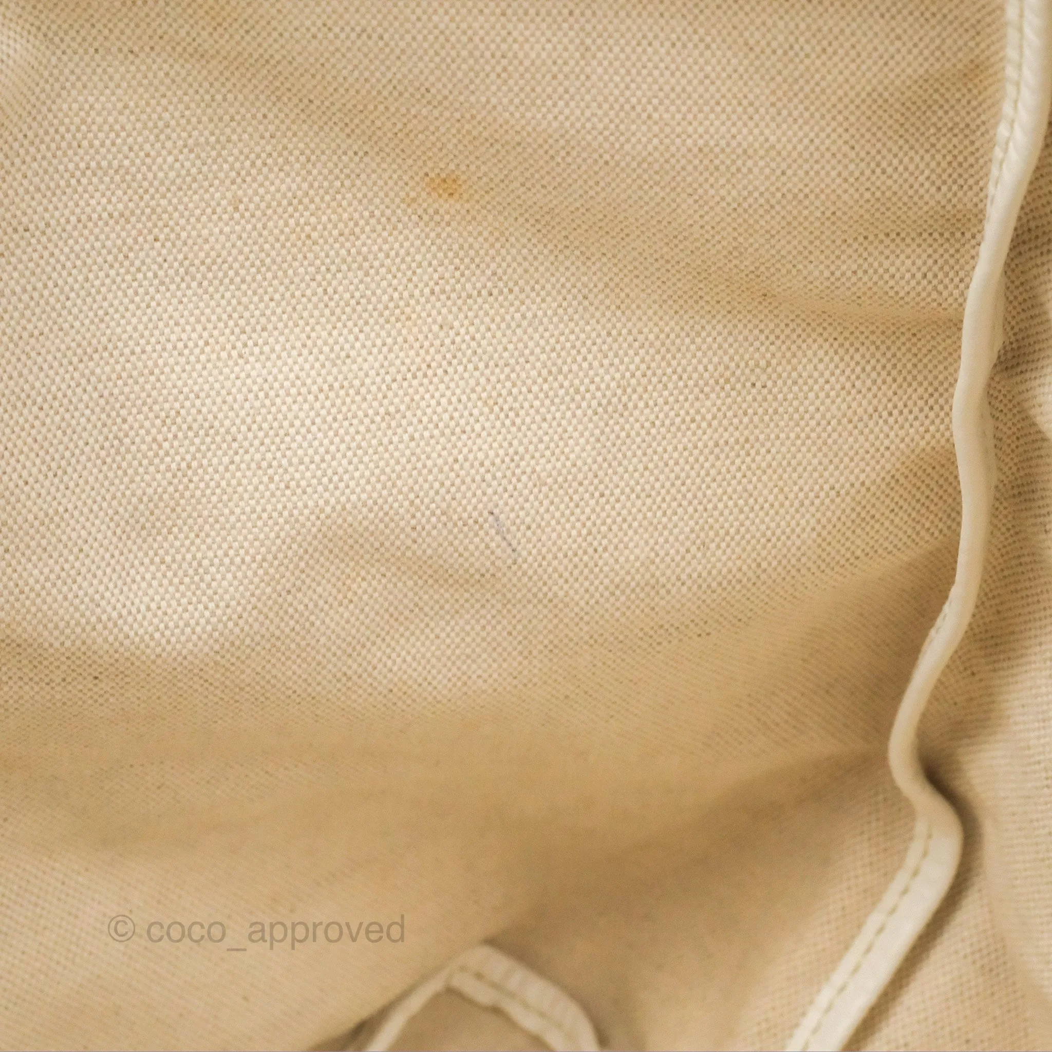 Goyard St Louis Tote PM White Goyardine Canvas