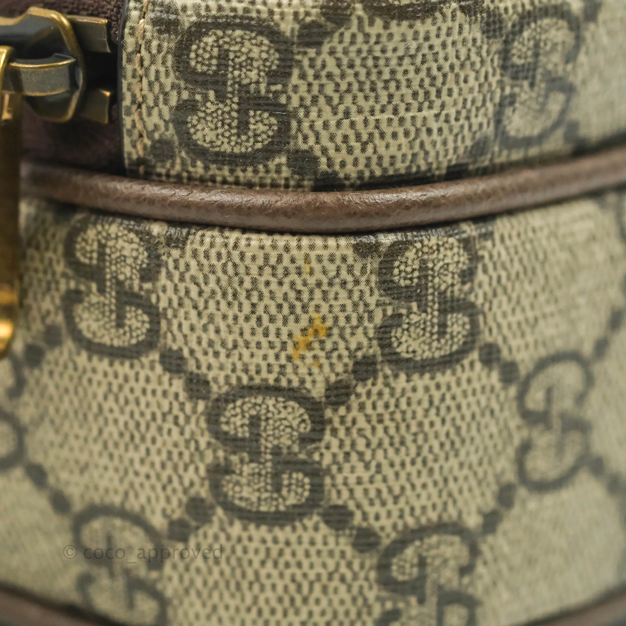Gucci Beige Neo Vintage Mini Bag
