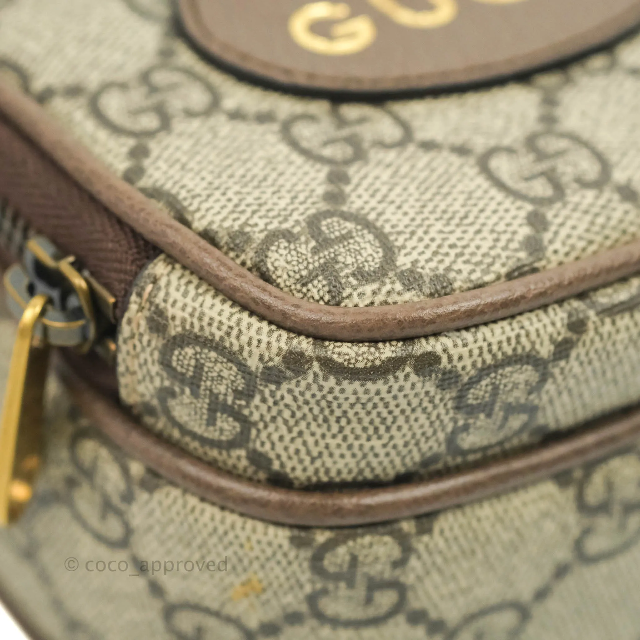 Gucci Beige Neo Vintage Mini Bag