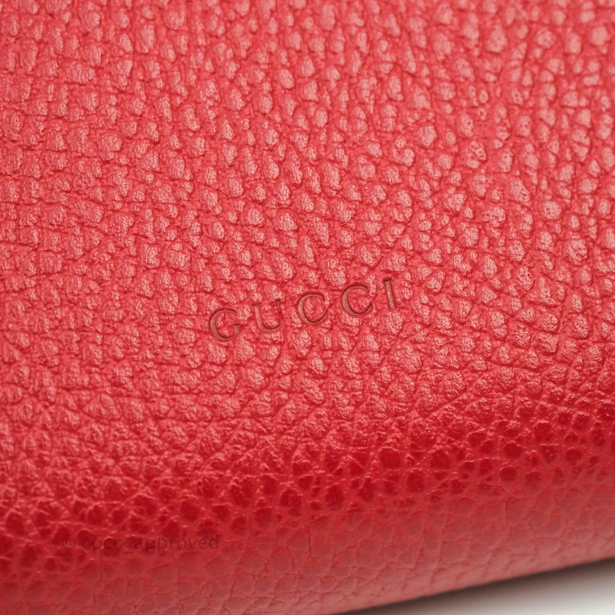 Gucci Calfskin Dionysus Mini Leather Chain Bag Red