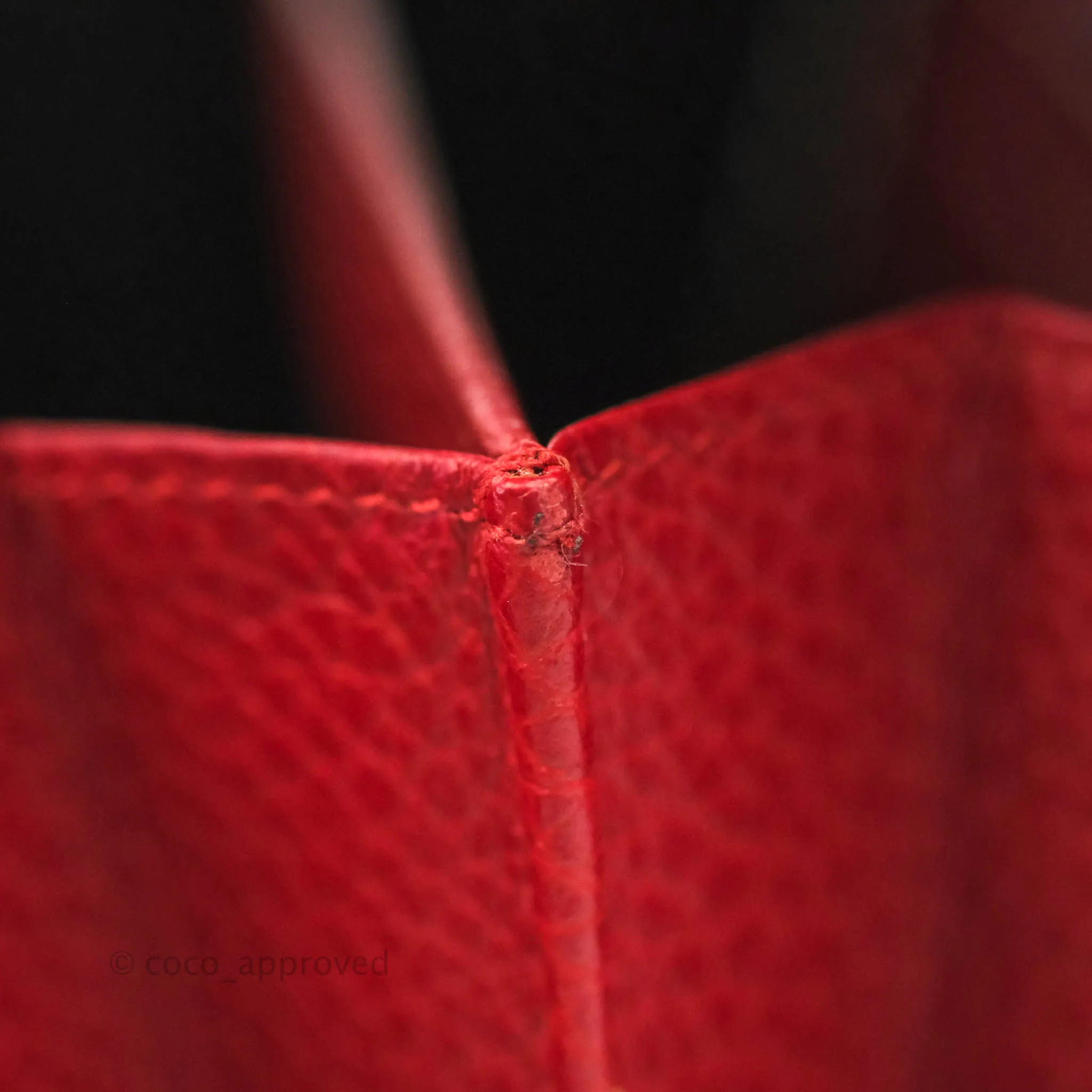 Gucci Calfskin Dionysus Mini Leather Chain Bag Red