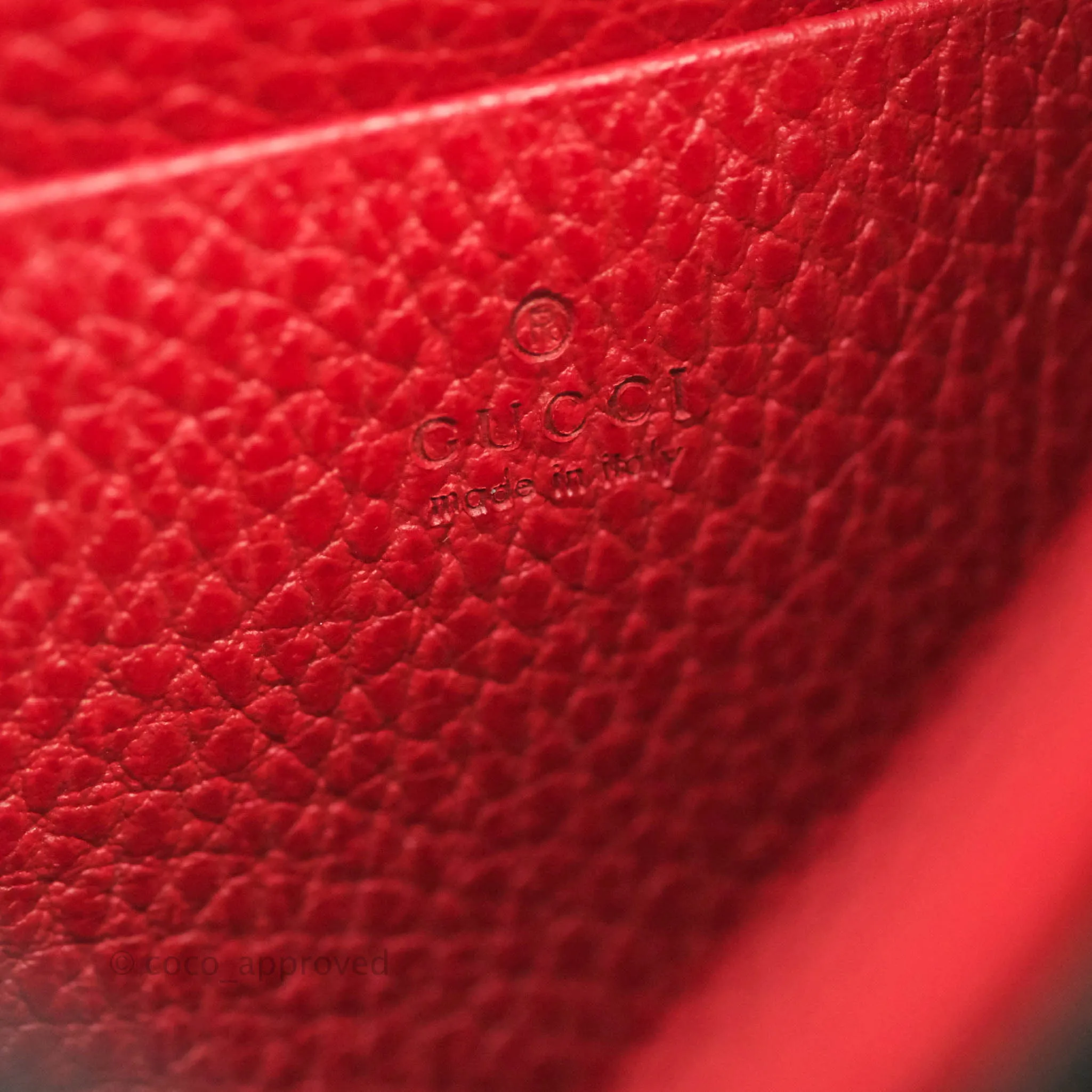 Gucci Calfskin Dionysus Mini Leather Chain Bag Red