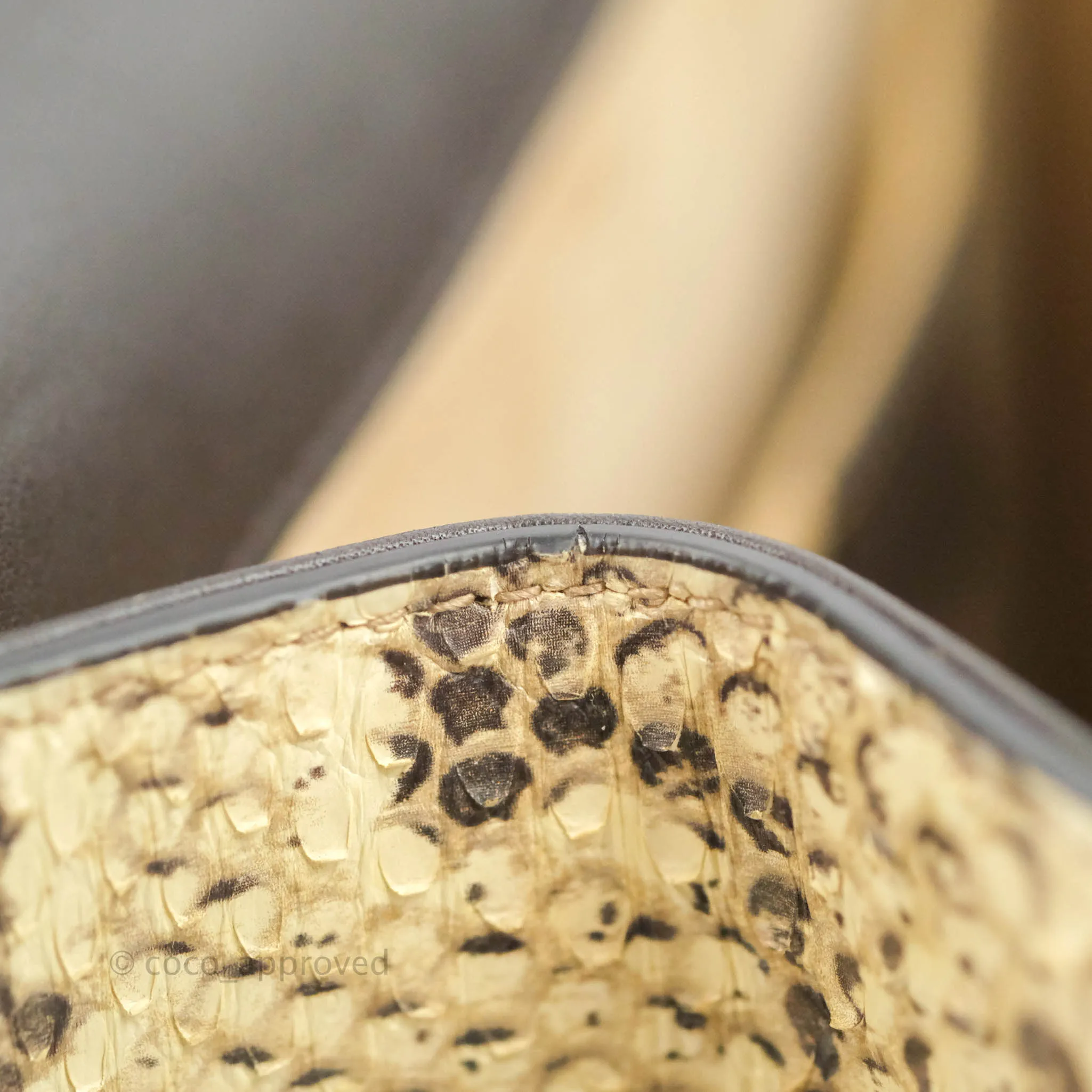 Gucci Dionysus Bamboo Top Handle Bag Embroidered Python Medium