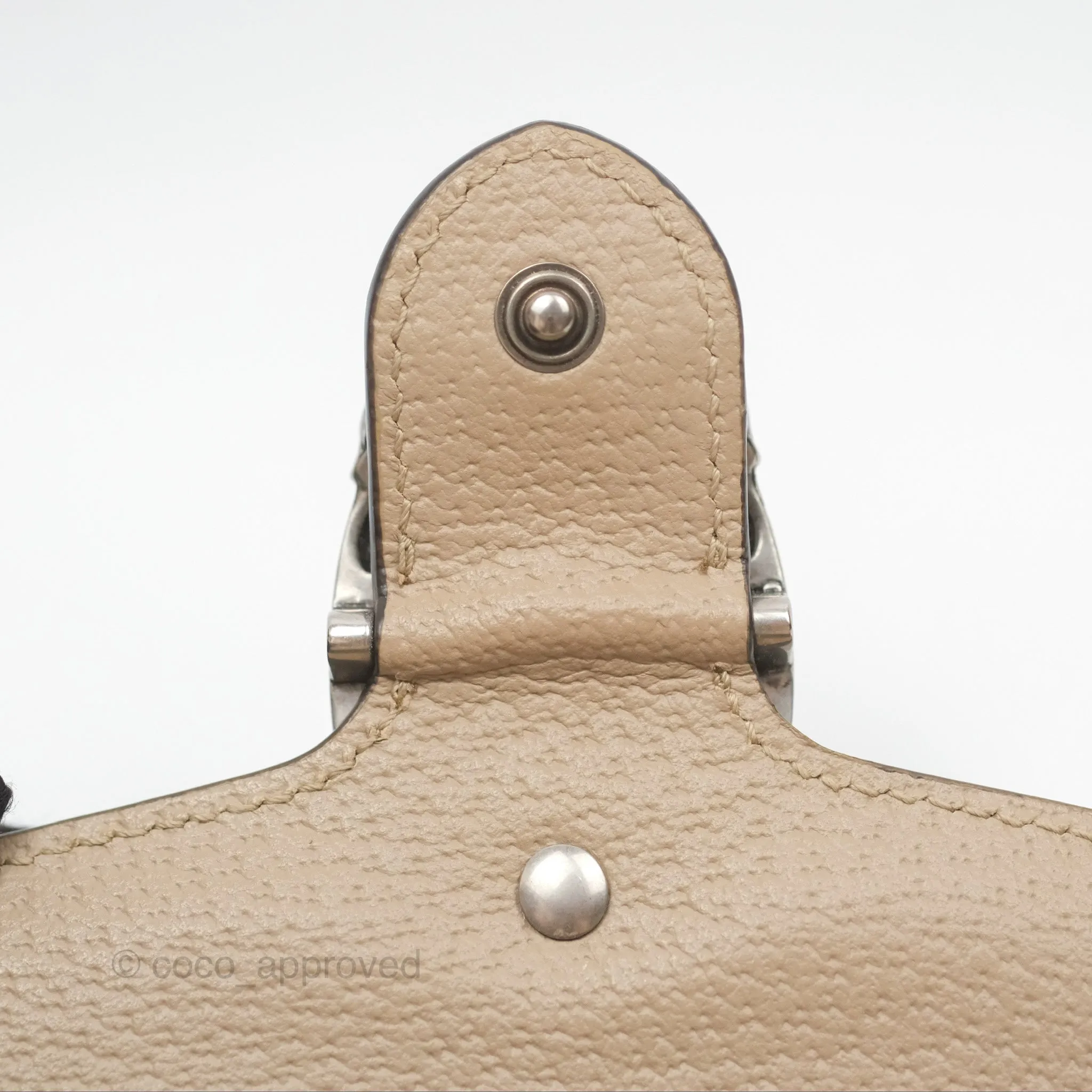 Gucci Dionysus GG Super Mini Crossbody Bag Ruthenium Hardware