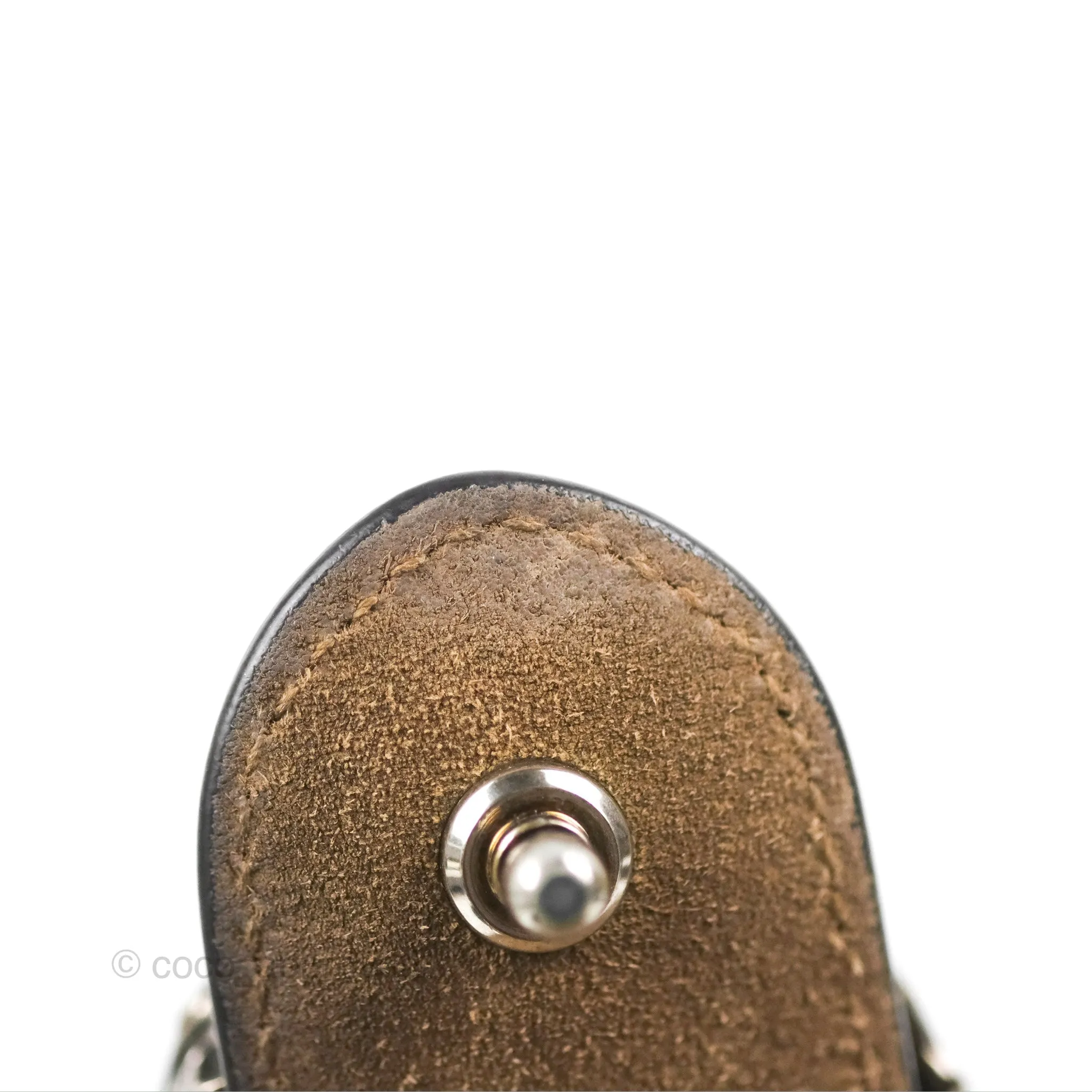 Gucci Dionysus GG Supreme Small Bag Ruthenium Hardware